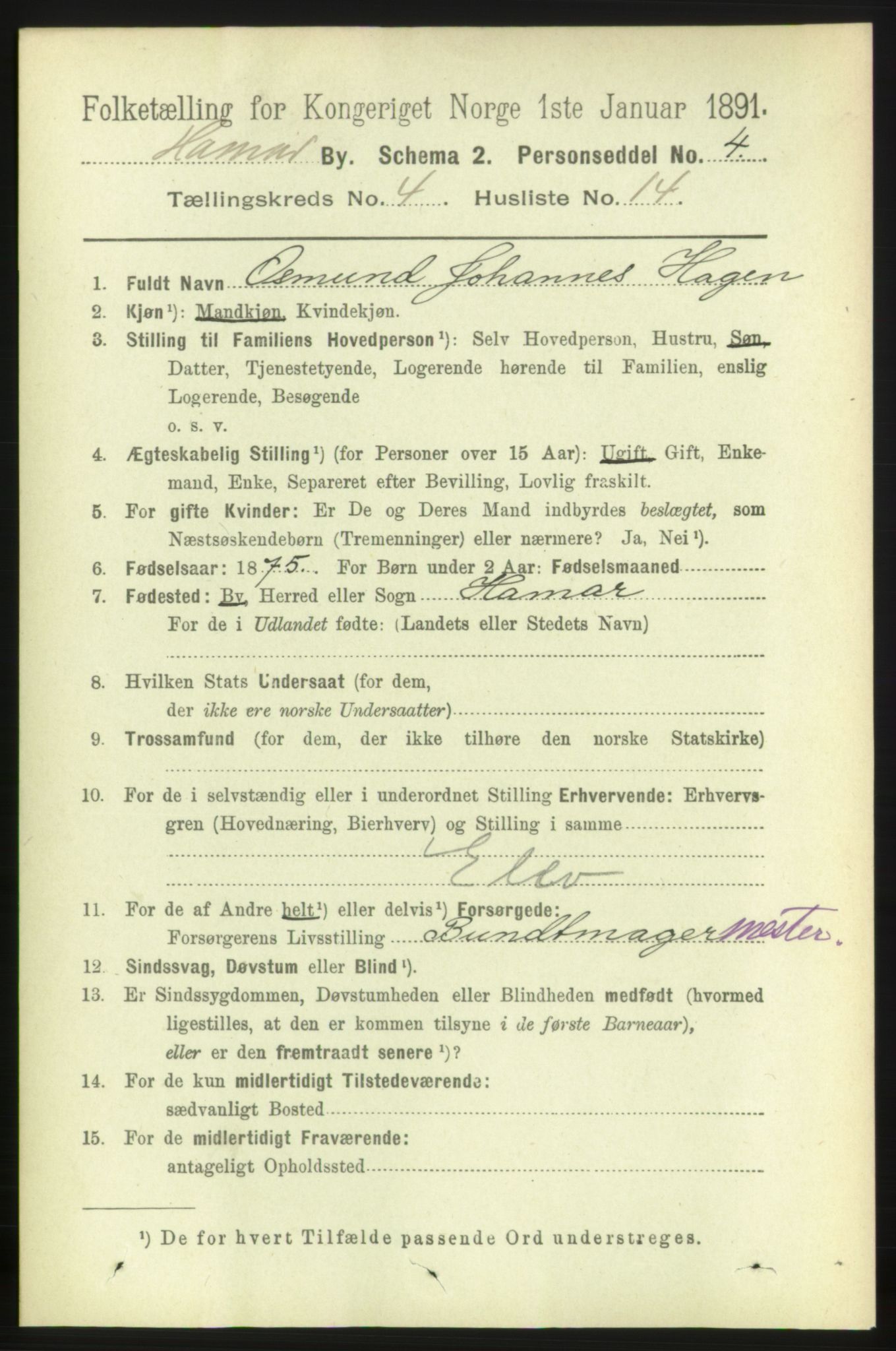 RA, 1891 census for 0401 Hamar, 1891, p. 3029