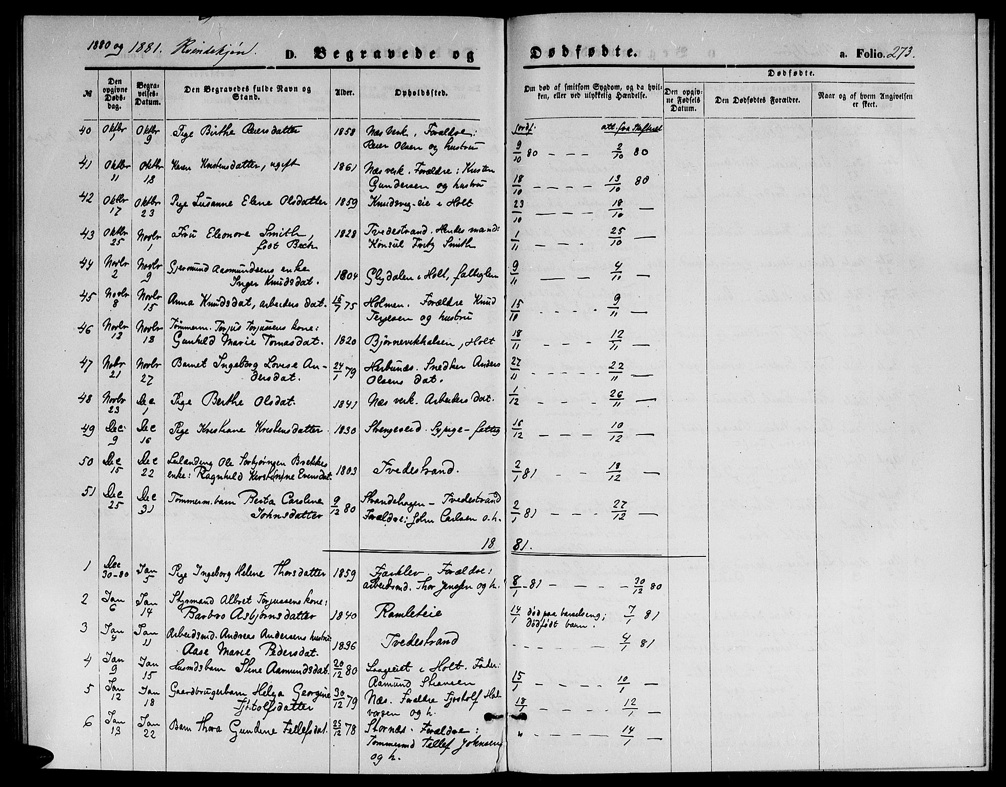 Holt sokneprestkontor, AV/SAK-1111-0021/F/Fb/L0009: Parish register (copy) no. B 9, 1871-1883, p. 273