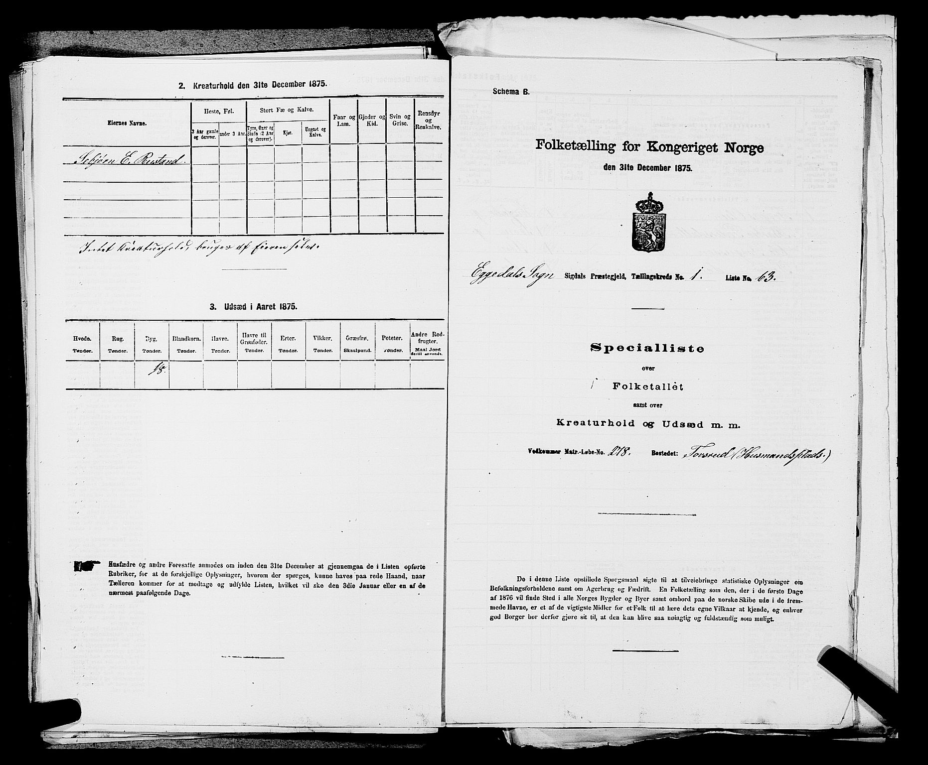 SAKO, 1875 census for 0621P Sigdal, 1875, p. 1998