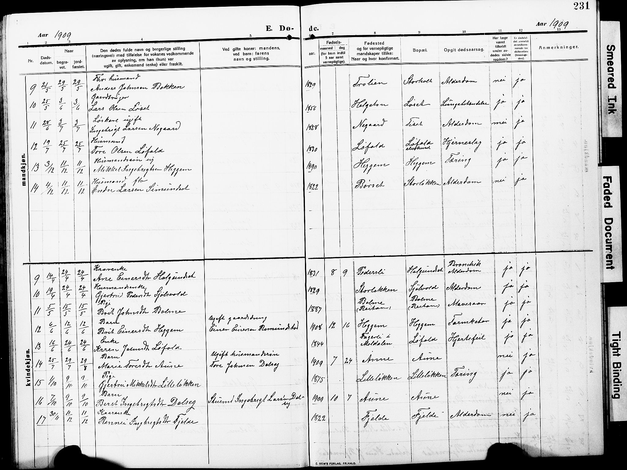 Ministerialprotokoller, klokkerbøker og fødselsregistre - Møre og Romsdal, AV/SAT-A-1454/598/L1079: Parish register (copy) no. 598C04, 1909-1927, p. 231