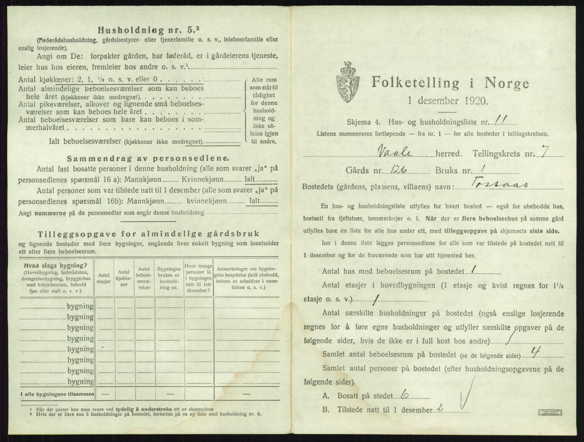 SAKO, 1920 census for Våle, 1920, p. 877