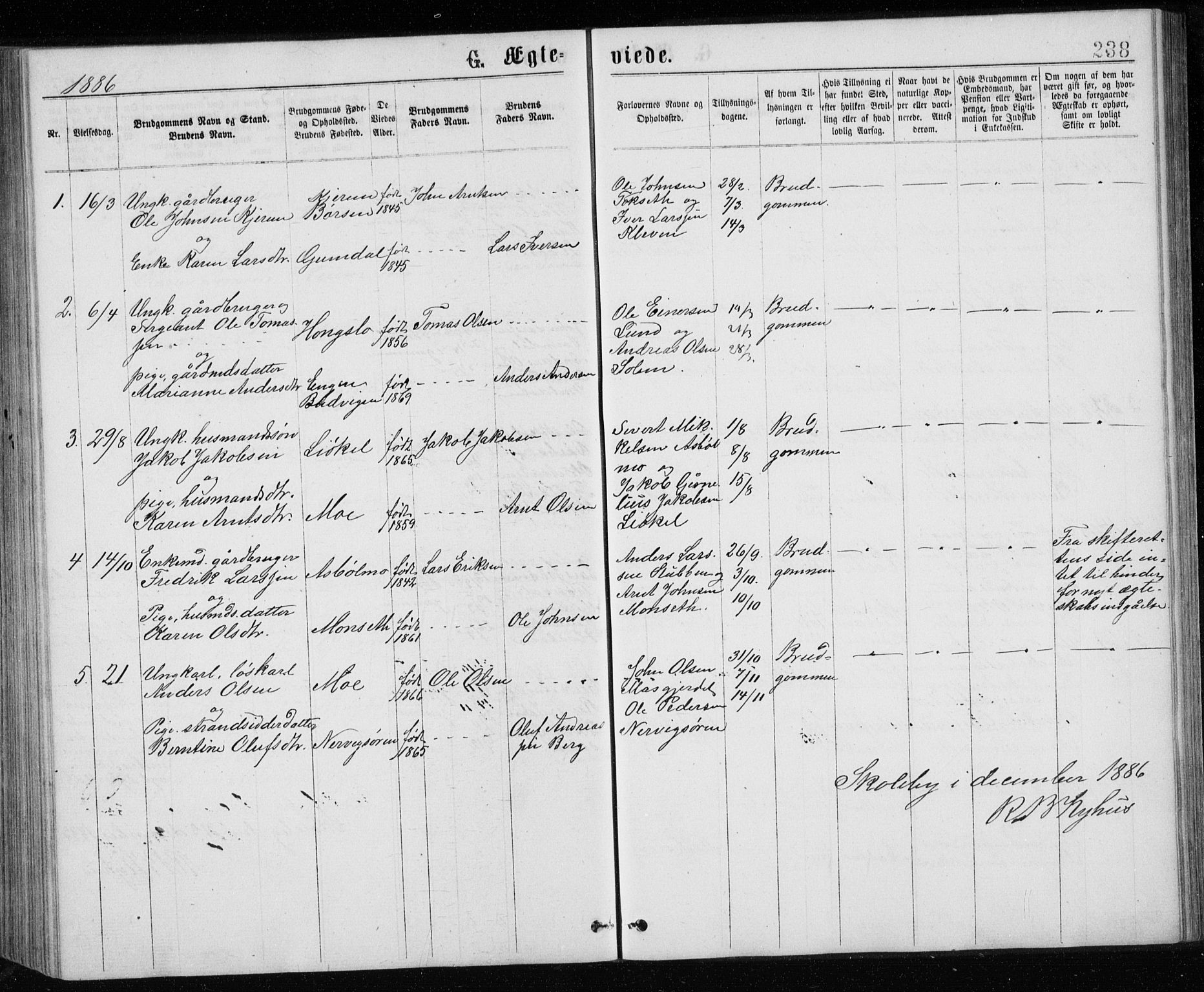 Ministerialprotokoller, klokkerbøker og fødselsregistre - Sør-Trøndelag, SAT/A-1456/671/L0843: Parish register (copy) no. 671C02, 1873-1892, p. 238