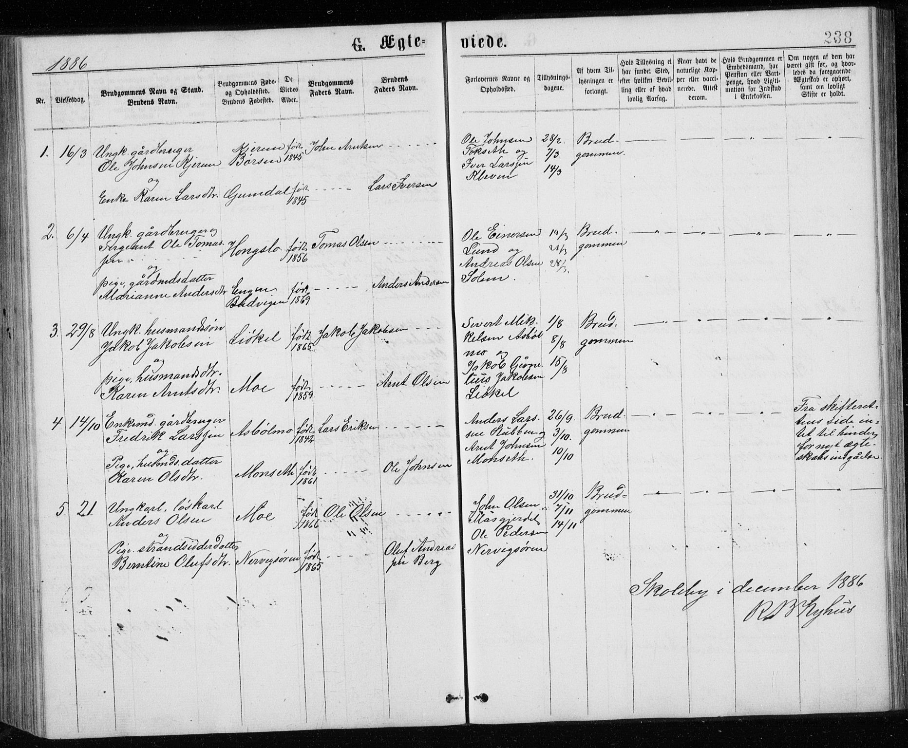 Ministerialprotokoller, klokkerbøker og fødselsregistre - Sør-Trøndelag, AV/SAT-A-1456/671/L0843: Parish register (copy) no. 671C02, 1873-1892, p. 238