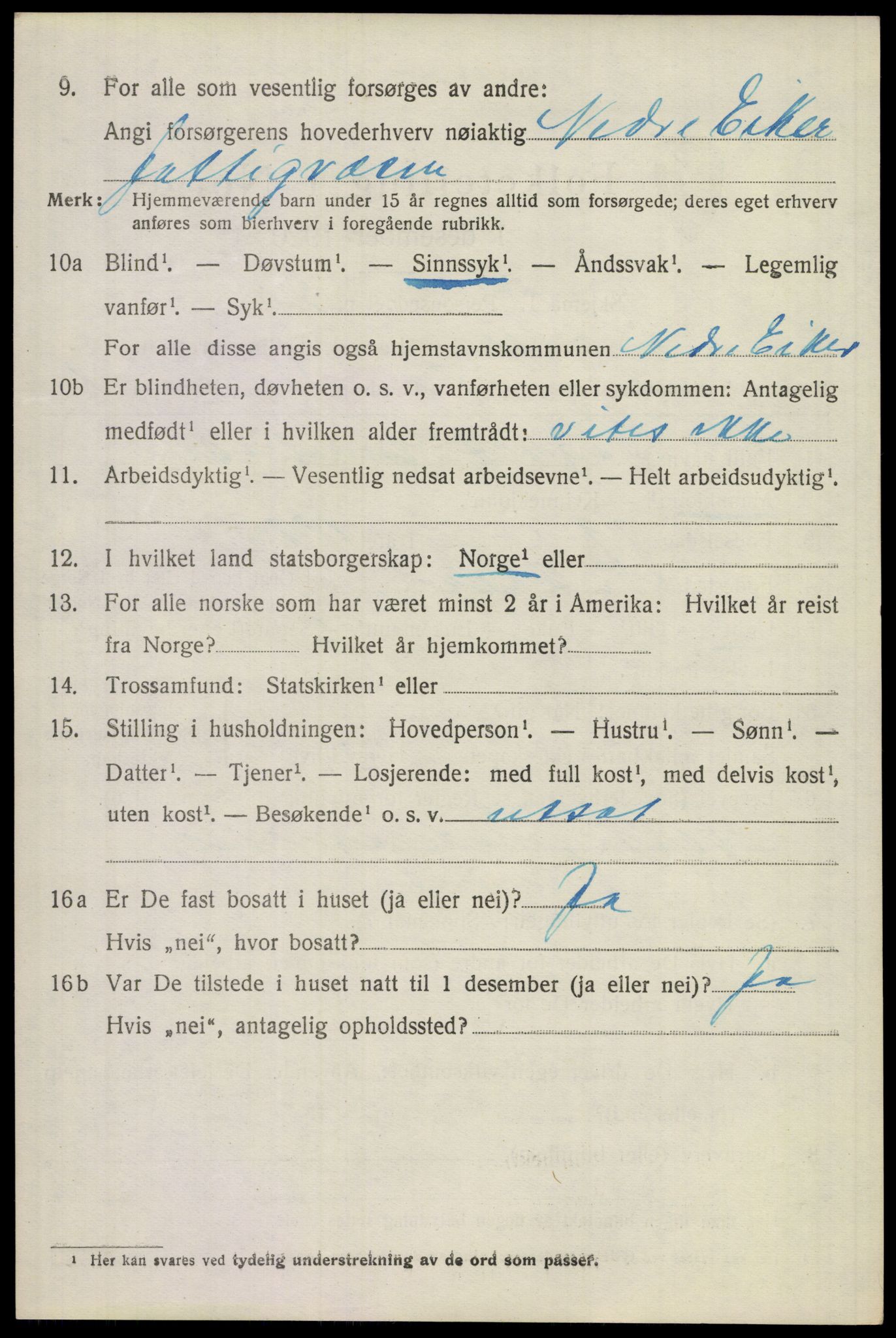 SAKO, 1920 census for Lier, 1920, p. 26185