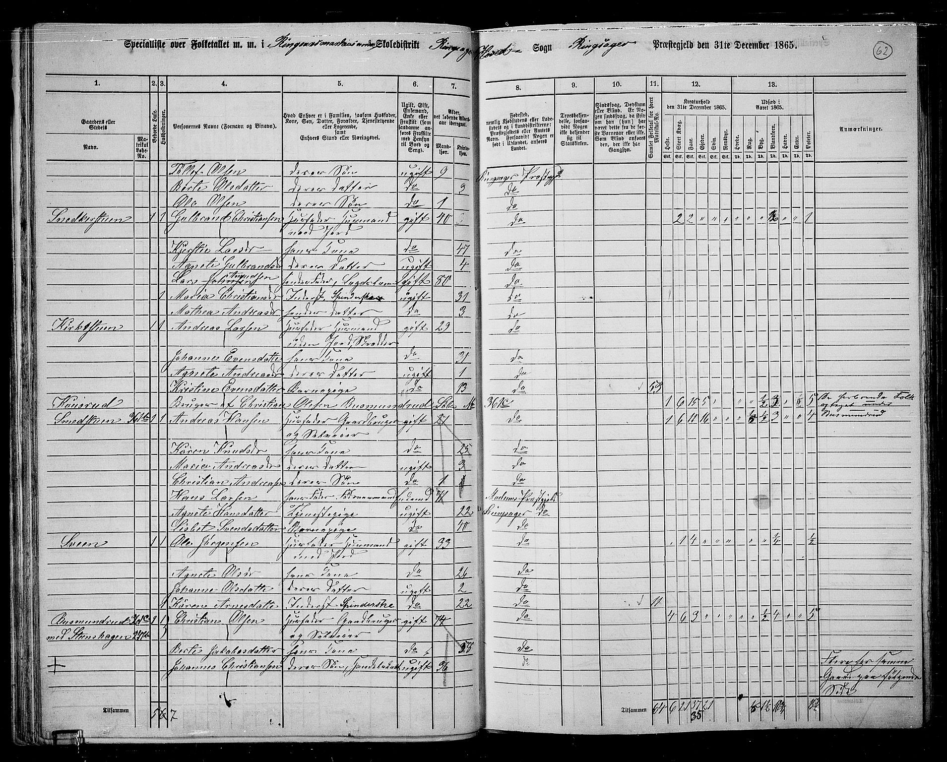 RA, 1865 census for Ringsaker, 1865, p. 314