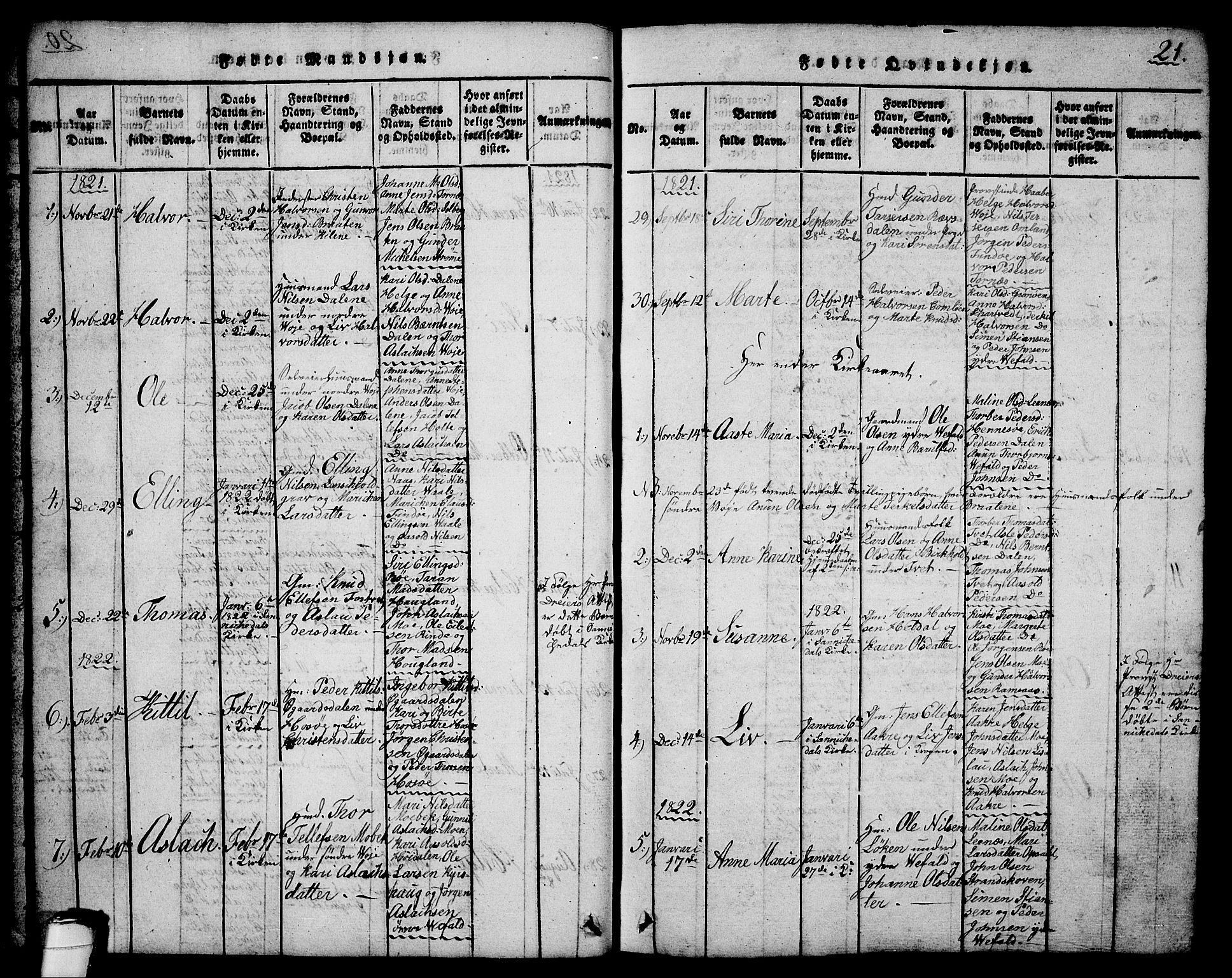 Drangedal kirkebøker, SAKO/A-258/G/Ga/L0001: Parish register (copy) no. I 1 /1, 1814-1856, p. 21