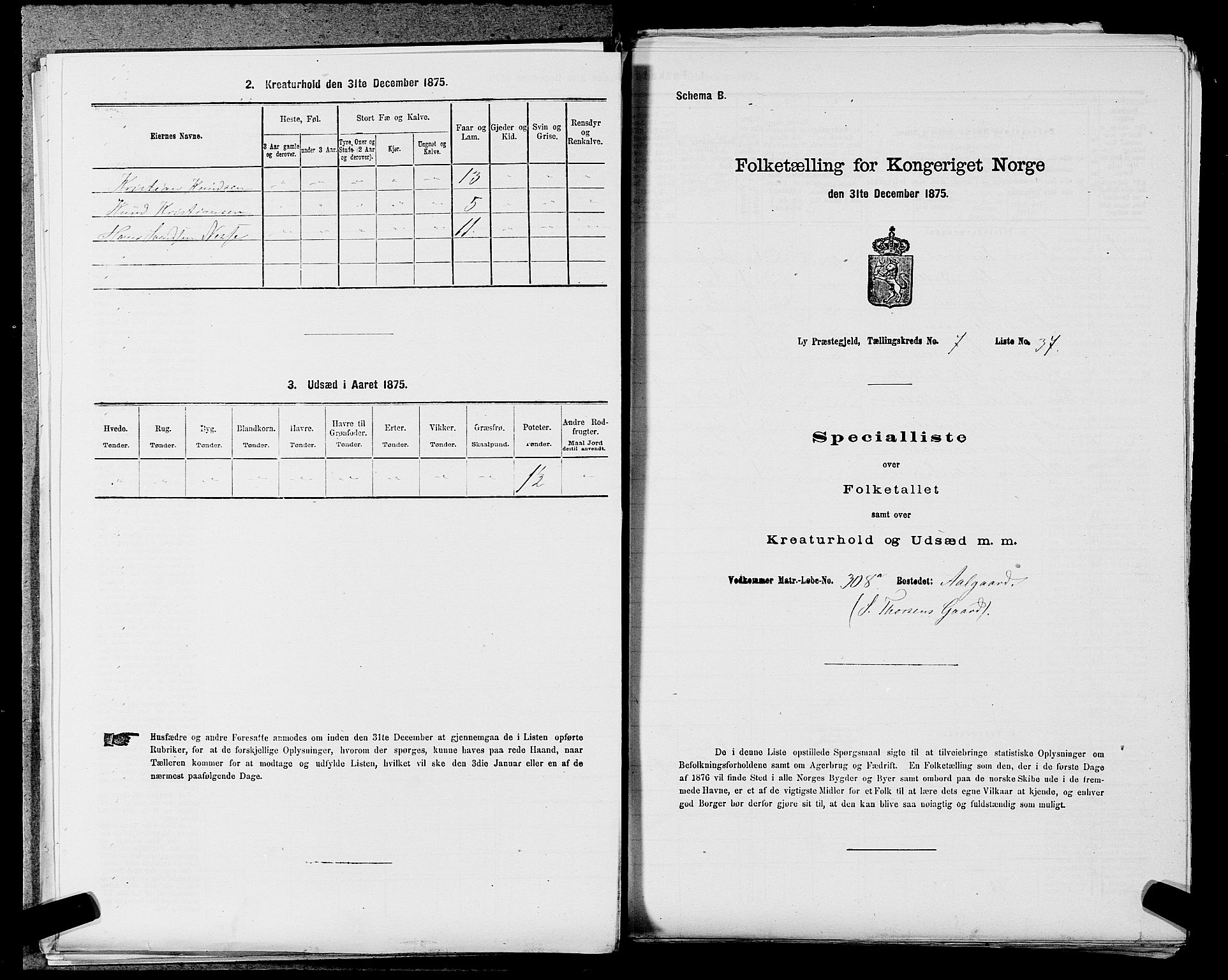 SAST, 1875 census for 1121P Lye, 1875, p. 882