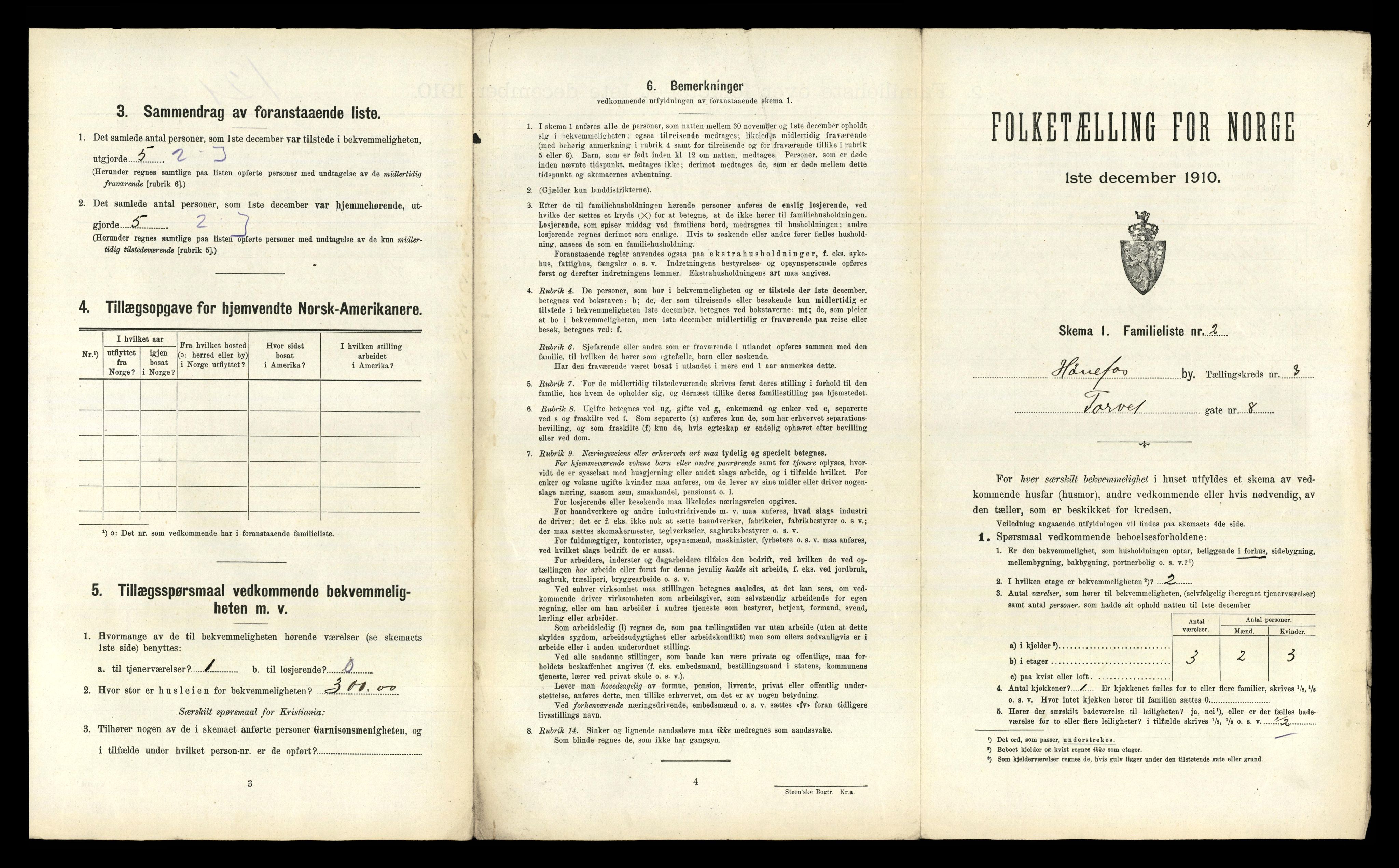 RA, 1910 census for Hønefoss, 1910, p. 733