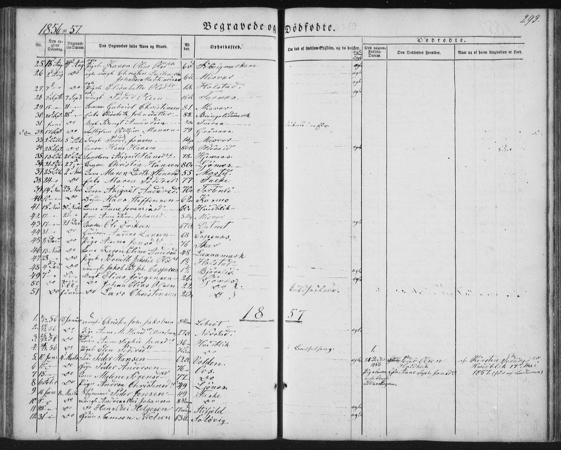 Ministerialprotokoller, klokkerbøker og fødselsregistre - Nordland, AV/SAT-A-1459/852/L0738: Parish register (official) no. 852A08, 1849-1865, p. 293