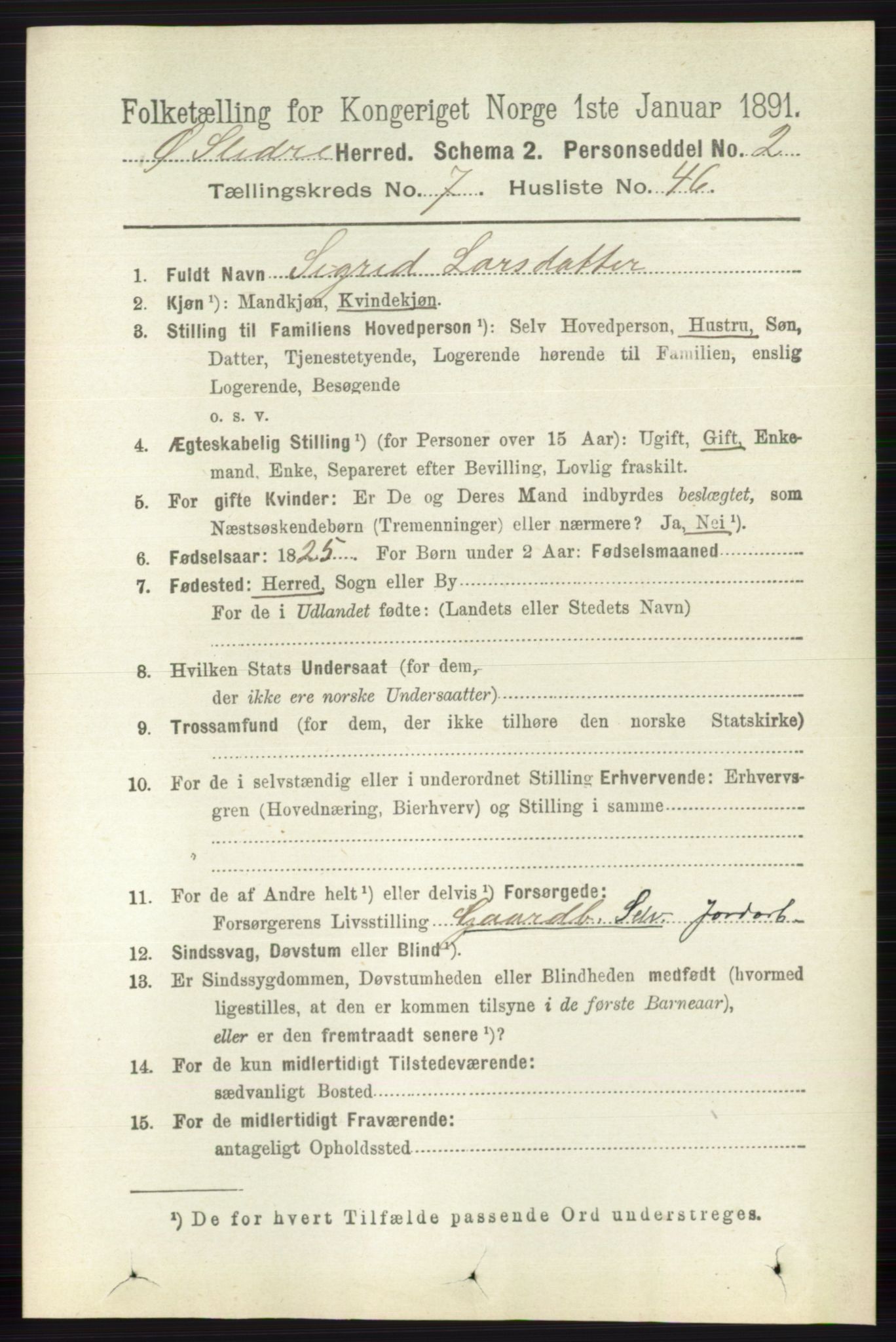 RA, 1891 census for 0544 Øystre Slidre, 1891, p. 2424