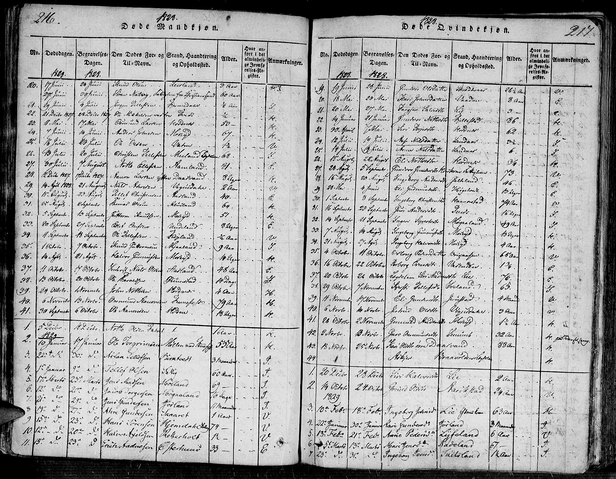 Evje sokneprestkontor, SAK/1111-0008/F/Fa/Faa/L0004: Parish register (official) no. A 4, 1816-1840, p. 216-217
