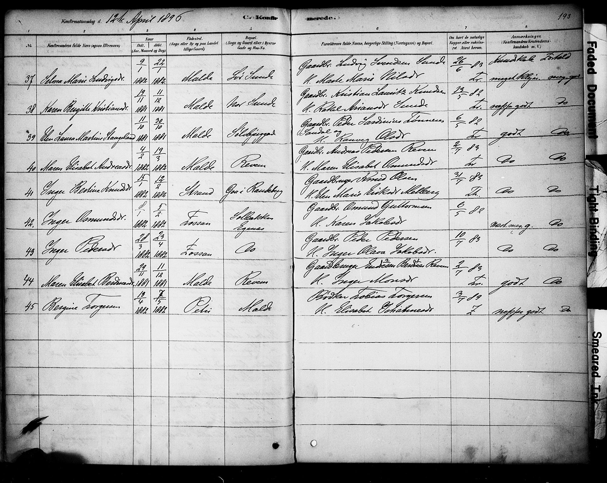 Domkirken sokneprestkontor, AV/SAST-A-101812/001/30/30BA/L0028: Parish register (official) no. A 27, 1878-1896, p. 193