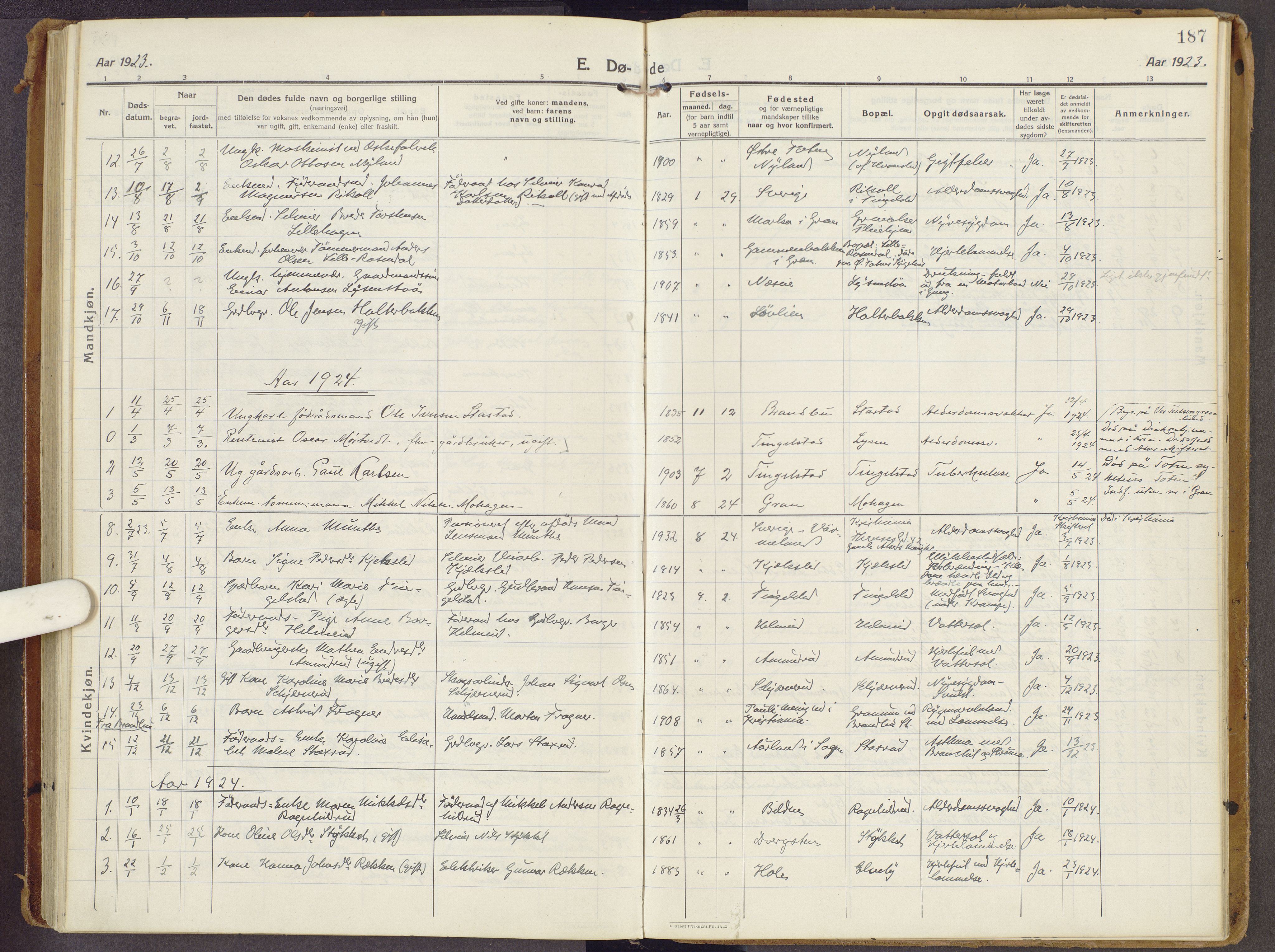 Brandbu prestekontor, SAH/PREST-114/H/Ha/Haa/L0003: Parish register (official) no. 3, 1914-1928, p. 187