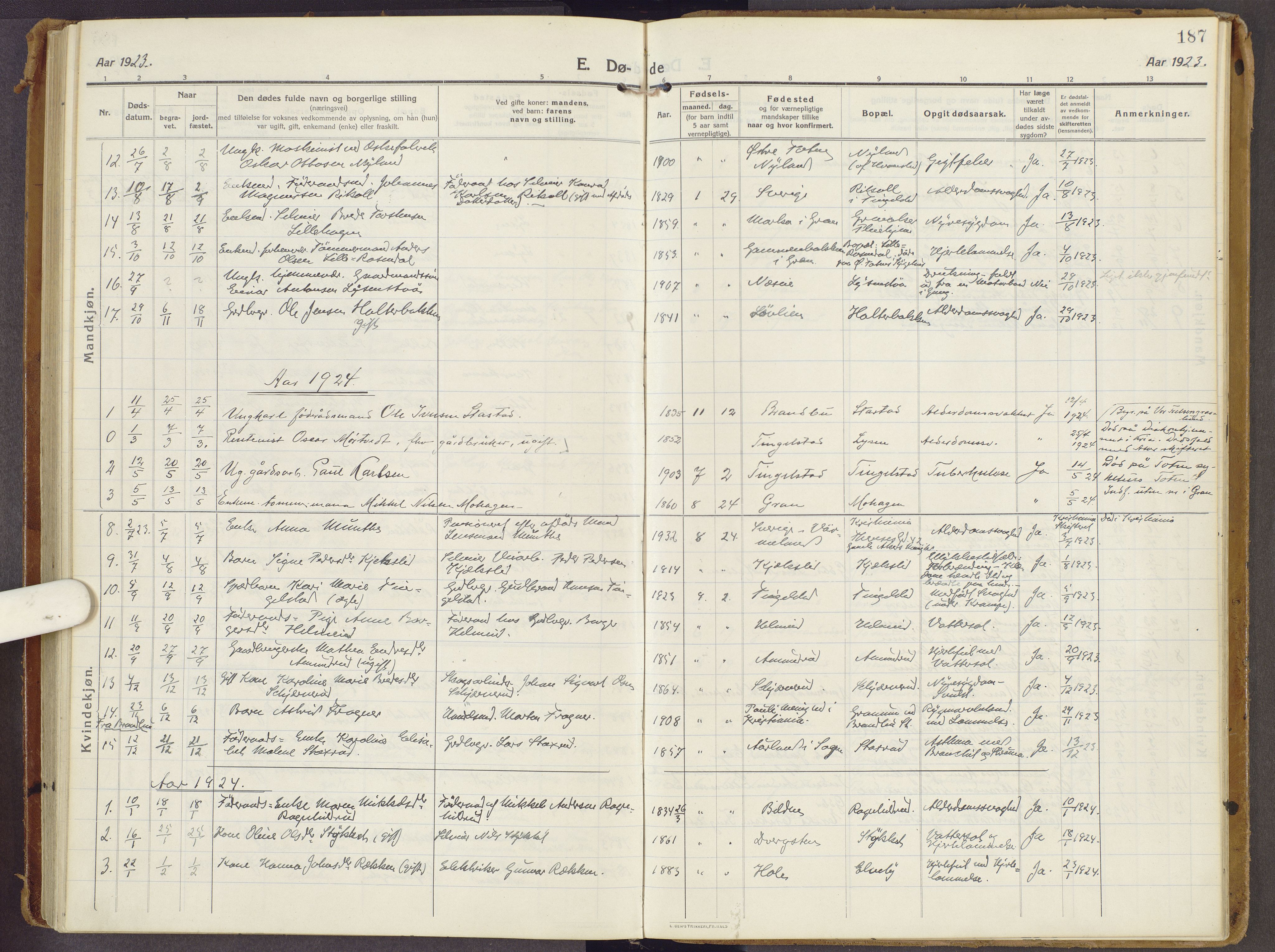 Brandbu prestekontor, AV/SAH-PREST-114/H/Ha/Haa/L0003: Parish register (official) no. 3, 1914-1928, p. 187