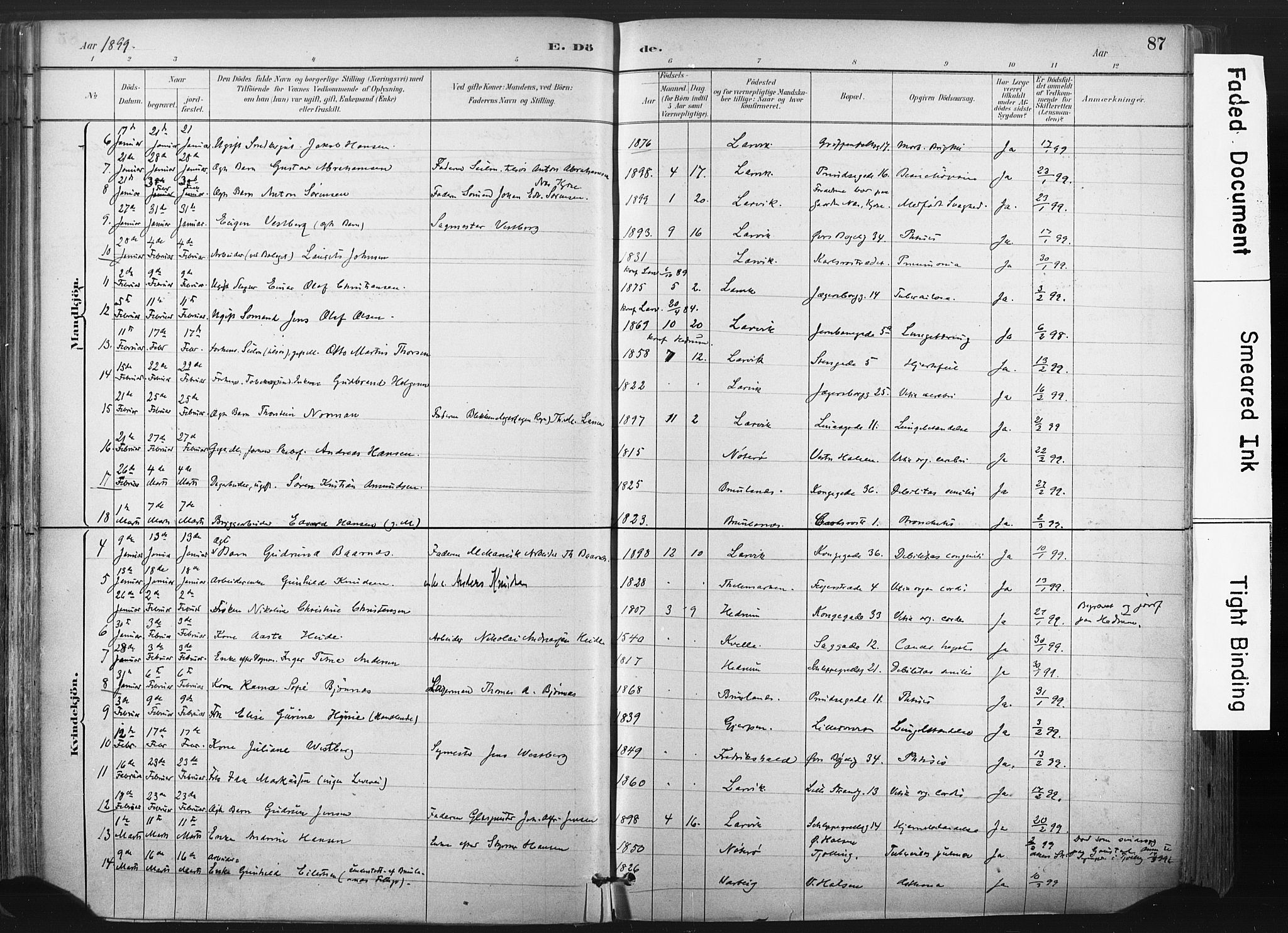 Larvik kirkebøker, AV/SAKO-A-352/F/Fa/L0010: Parish register (official) no. I 10, 1884-1910, p. 87