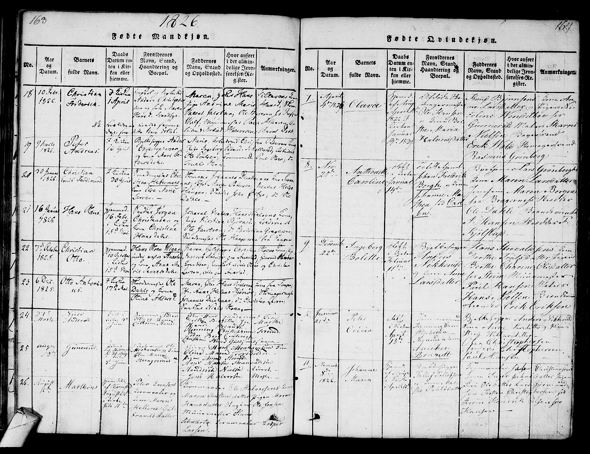 Strømsø kirkebøker, AV/SAKO-A-246/F/Fa/L0011: Parish register (official) no. I 11, 1815-1829, p. 163-164