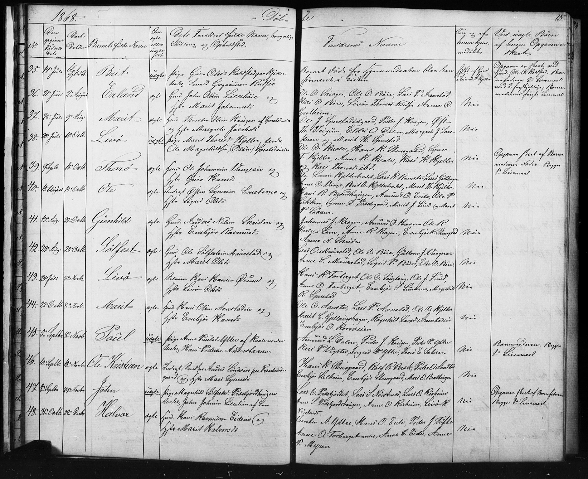 Skjåk prestekontor, SAH/PREST-072/H/Ha/Hab/L0001: Parish register (copy) no. 1, 1865-1893, p. 15