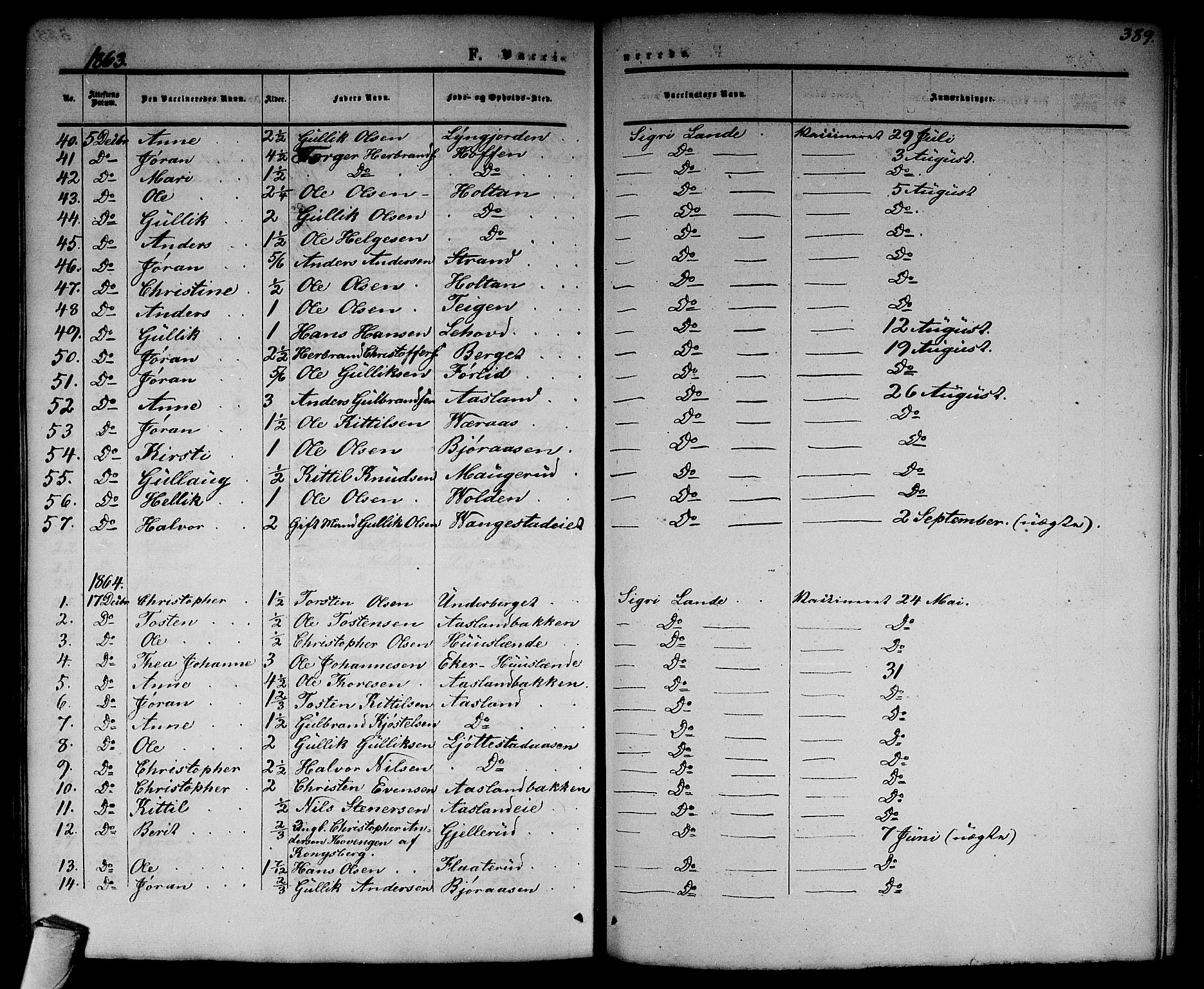 Flesberg kirkebøker, SAKO/A-18/G/Ga/L0003: Parish register (copy) no. I 3, 1861-1889, p. 389