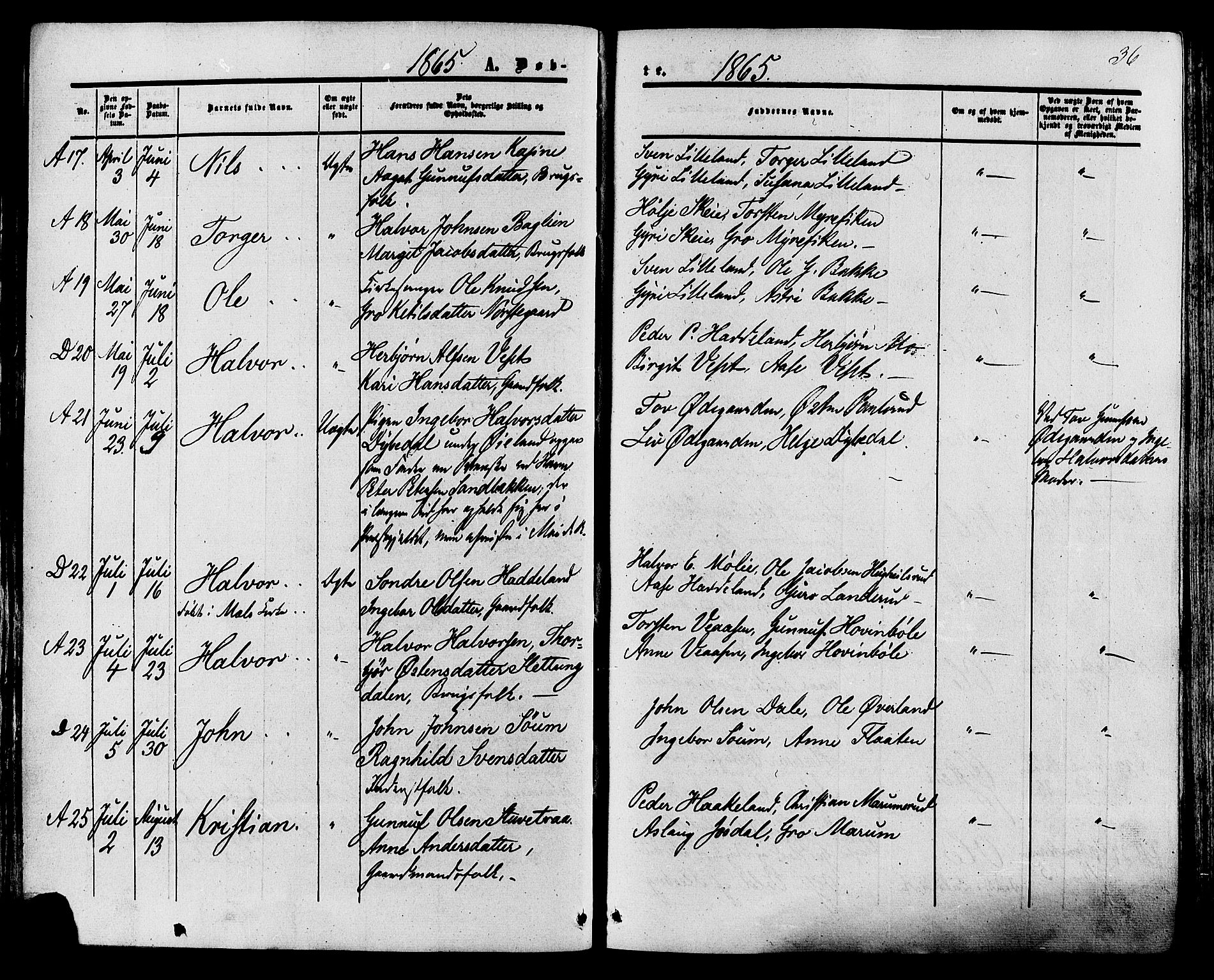 Tinn kirkebøker, SAKO/A-308/F/Fa/L0006: Parish register (official) no. I 6, 1857-1878, p. 36