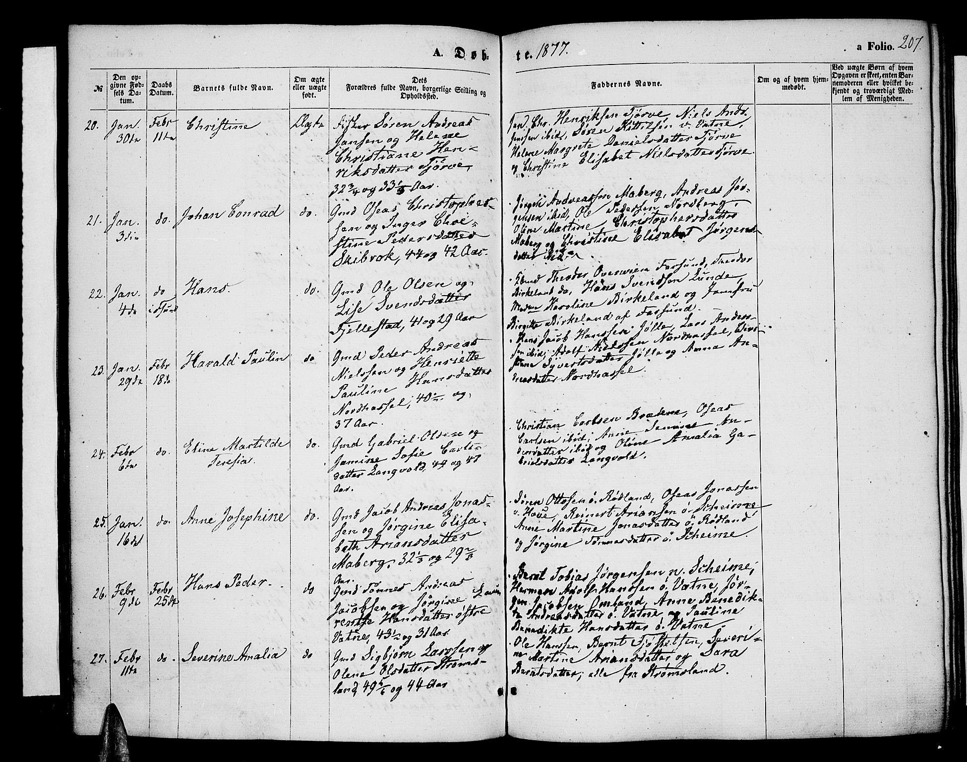 Lista sokneprestkontor, AV/SAK-1111-0027/F/Fb/L0003: Parish register (copy) no. B 3, 1862-1877, p. 207