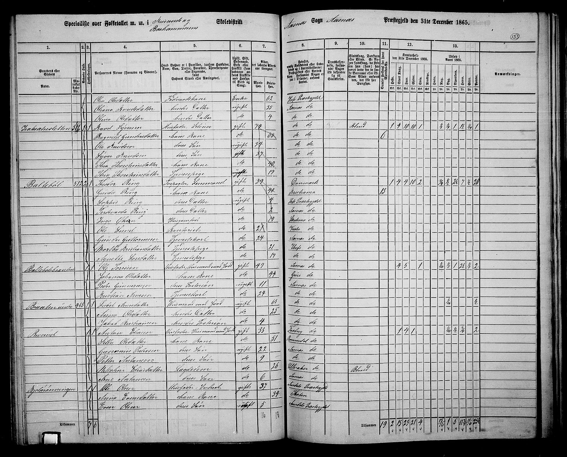 RA, 1865 census for Åsnes, 1865, p. 124