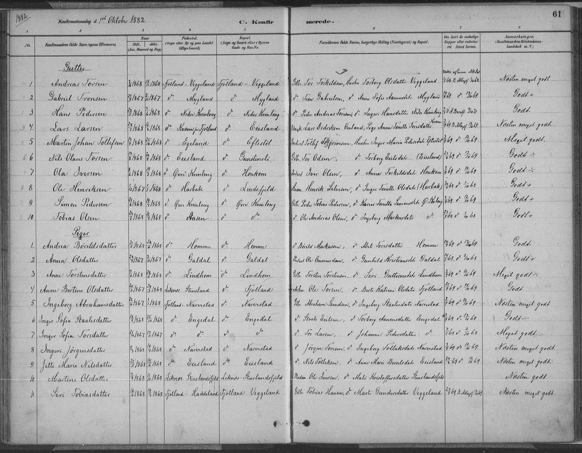Fjotland sokneprestkontor, SAK/1111-0010/F/Fa/L0002: Parish register (official) no. A 2, 1880-1898, p. 61