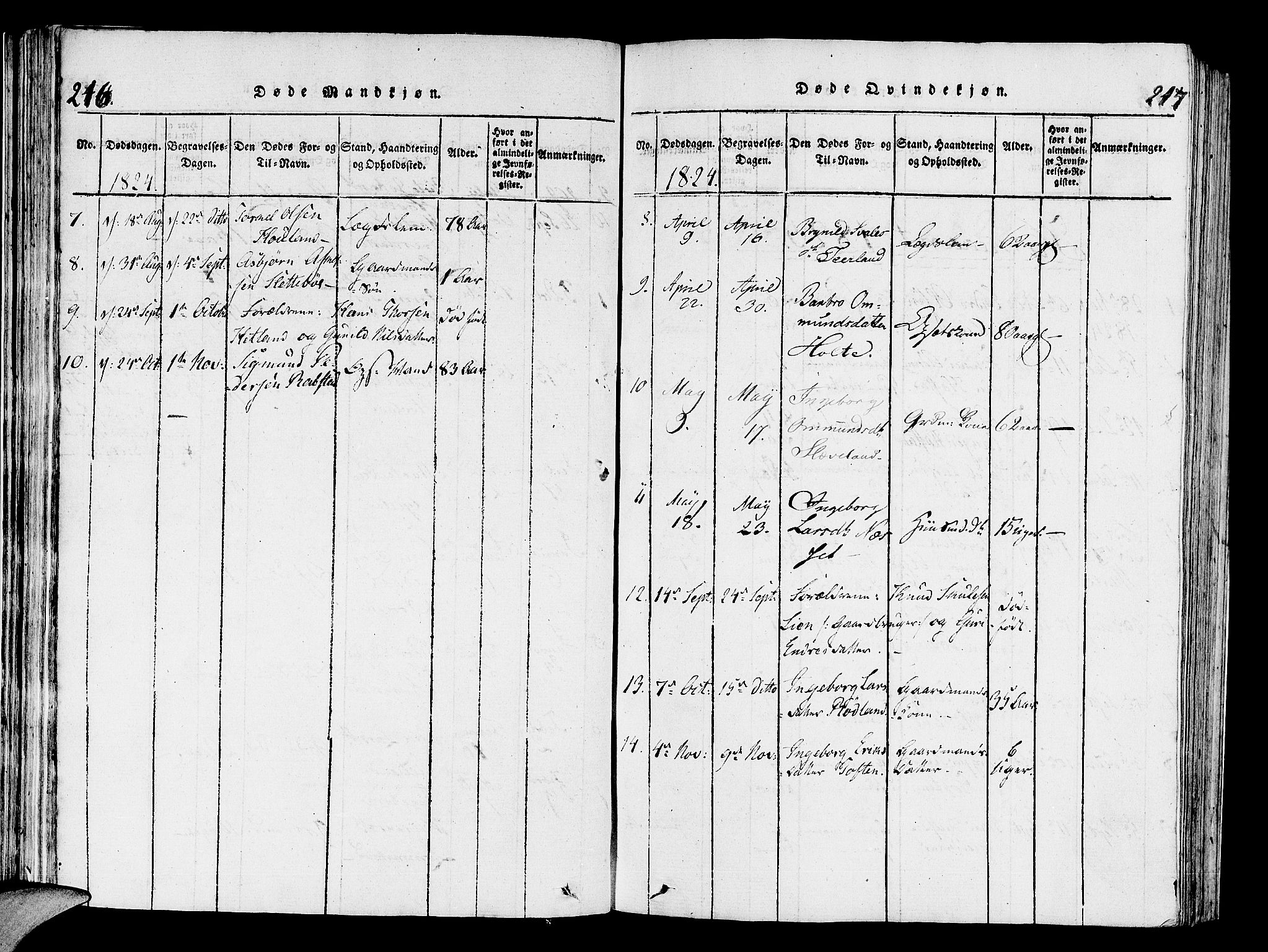 Helleland sokneprestkontor, AV/SAST-A-101810: Parish register (official) no. A 4, 1815-1834, p. 216-217