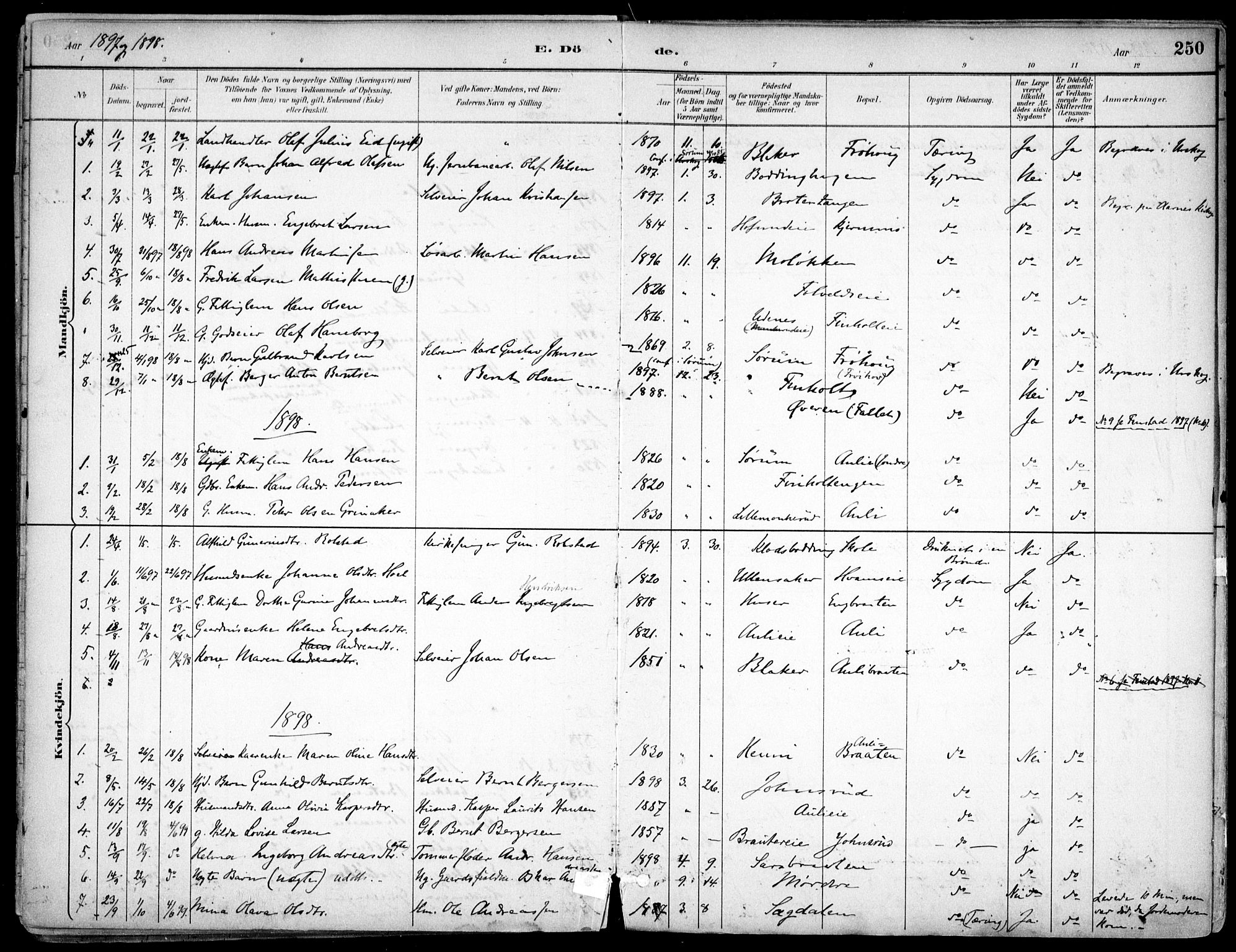 Nes prestekontor Kirkebøker, SAO/A-10410/F/Fc/L0002: Parish register (official) no. IIi 2, 1882-1916, p. 250