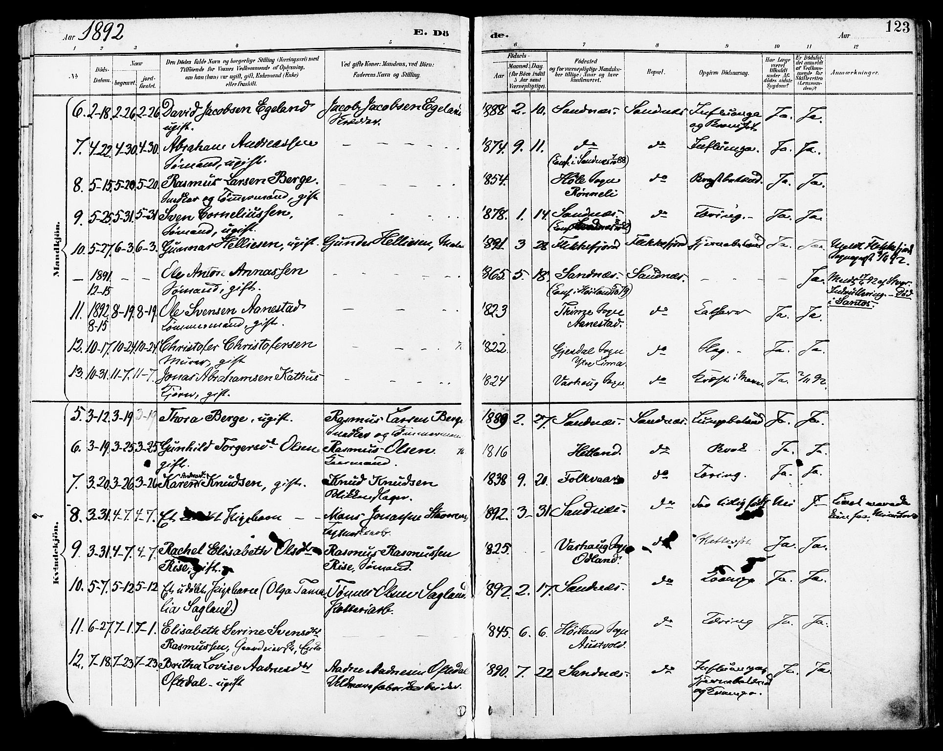 Høyland sokneprestkontor, AV/SAST-A-101799/001/30BA/L0014: Parish register (official) no. A 12, 1890-1898, p. 123