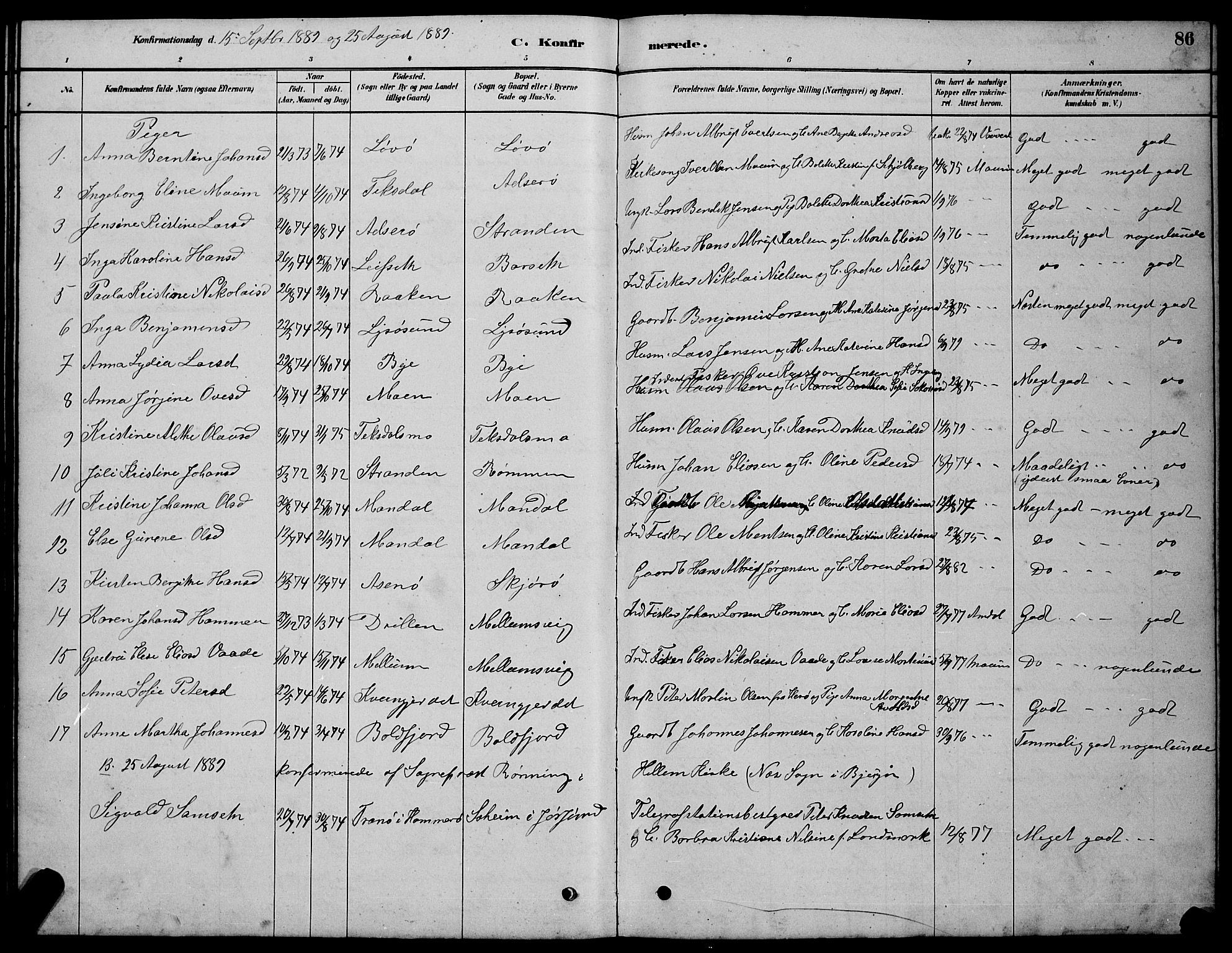 Ministerialprotokoller, klokkerbøker og fødselsregistre - Sør-Trøndelag, AV/SAT-A-1456/654/L0665: Parish register (copy) no. 654C01, 1879-1901, p. 86