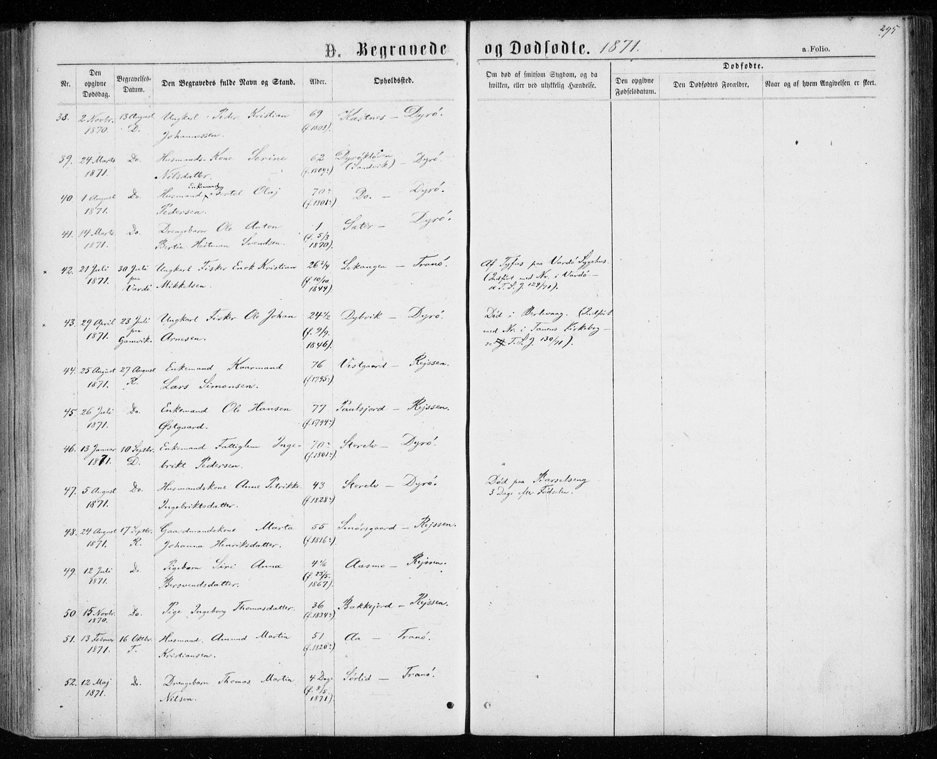 Tranøy sokneprestkontor, AV/SATØ-S-1313/I/Ia/Iaa/L0008kirke: Parish register (official) no. 8, 1867-1877, p. 295
