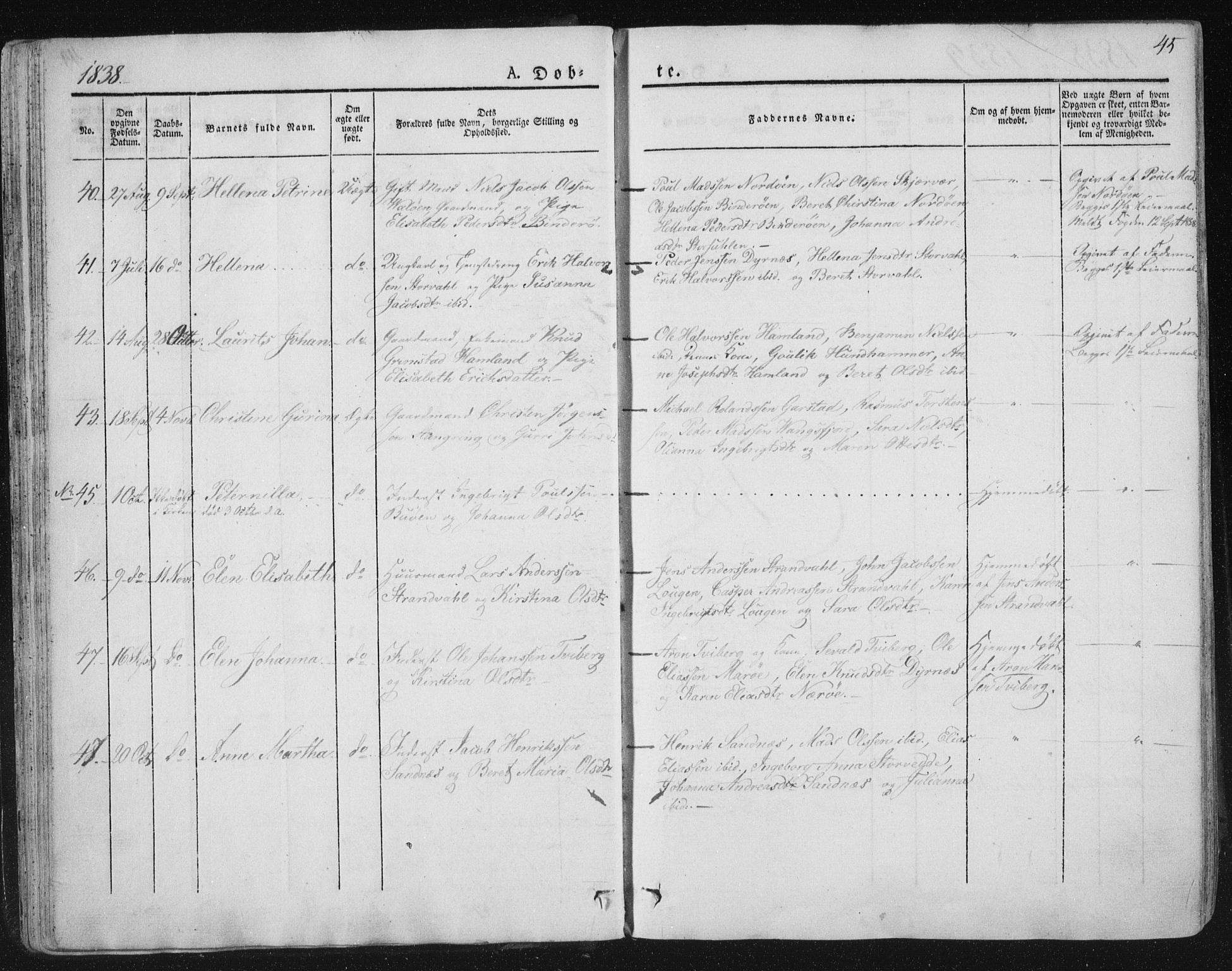 Ministerialprotokoller, klokkerbøker og fødselsregistre - Nord-Trøndelag, SAT/A-1458/784/L0669: Parish register (official) no. 784A04, 1829-1859, p. 45