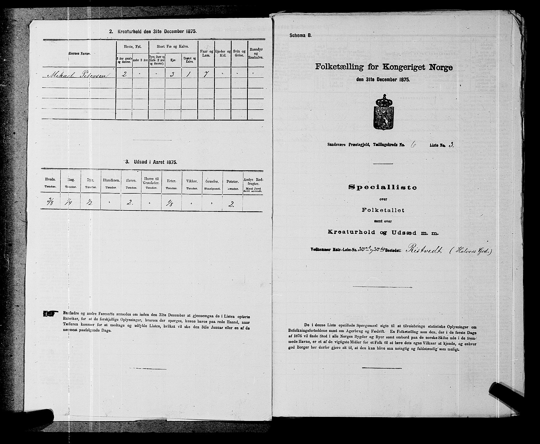 SAKO, 1875 census for 0629P Sandsvær, 1875, p. 1128