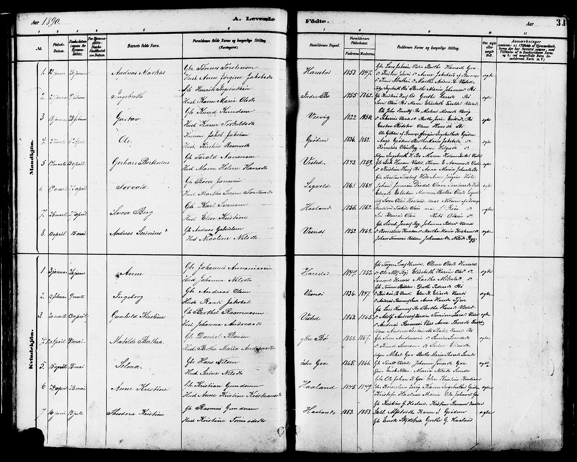 Hetland sokneprestkontor, SAST/A-101826/30/30BB/L0006: Parish register (copy) no. B 6, 1878-1921, p. 33