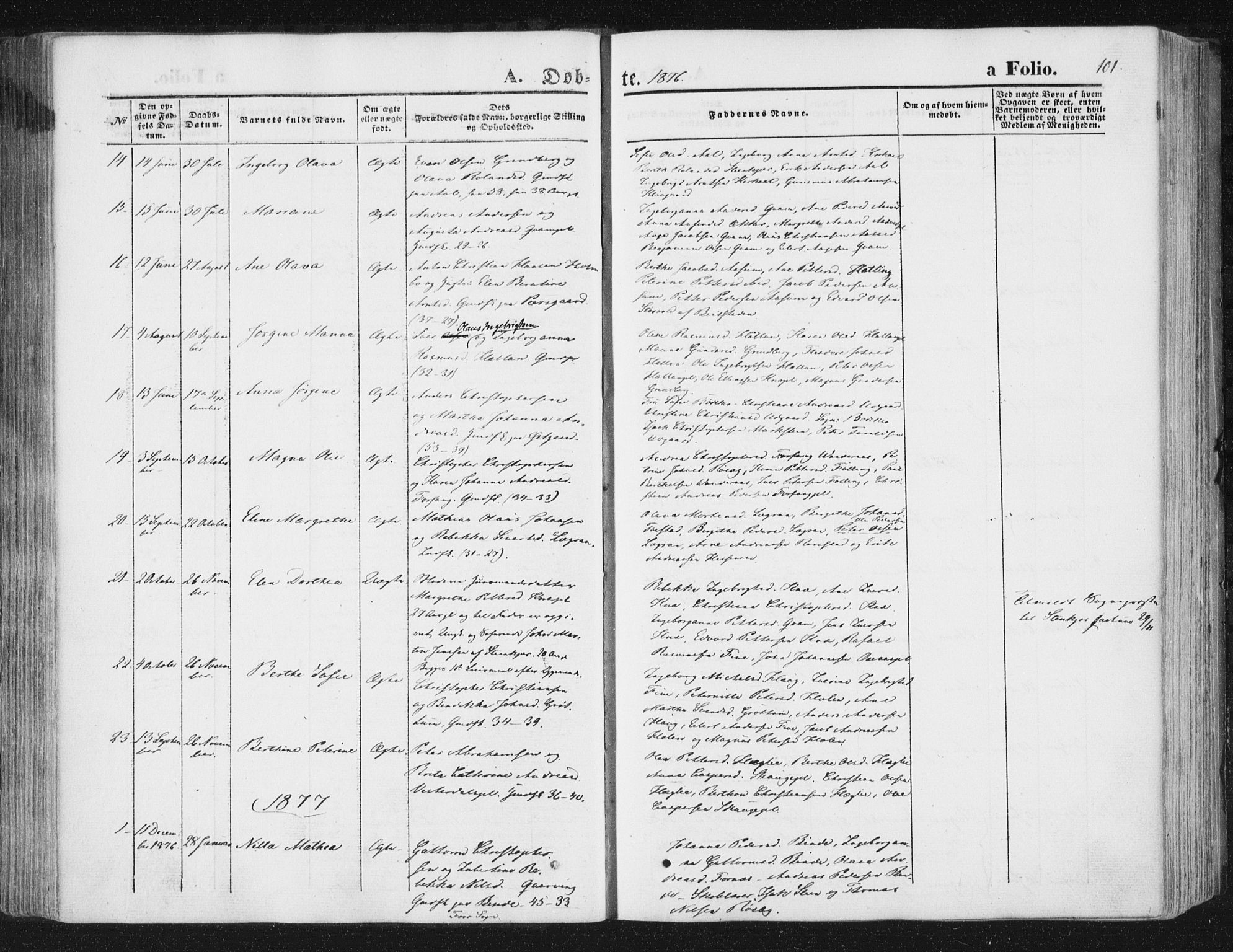 Ministerialprotokoller, klokkerbøker og fødselsregistre - Nord-Trøndelag, AV/SAT-A-1458/746/L0447: Parish register (official) no. 746A06, 1860-1877, p. 101