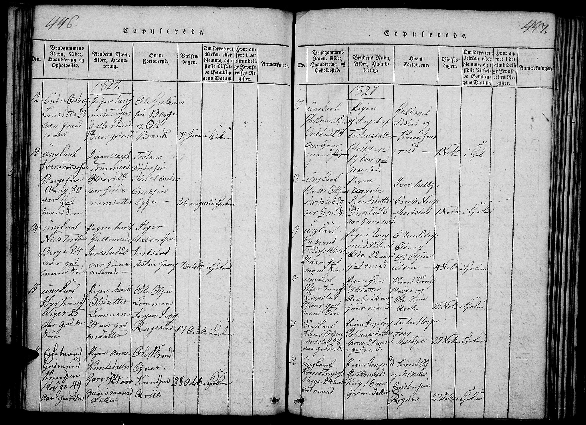 Slidre prestekontor, SAH/PREST-134/H/Ha/Haa/L0002: Parish register (official) no. 2, 1814-1830, p. 446-447