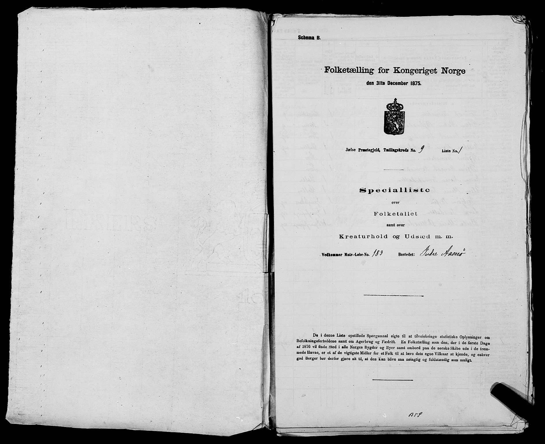 SAST, 1875 census for 1138P Jelsa, 1875, p. 811