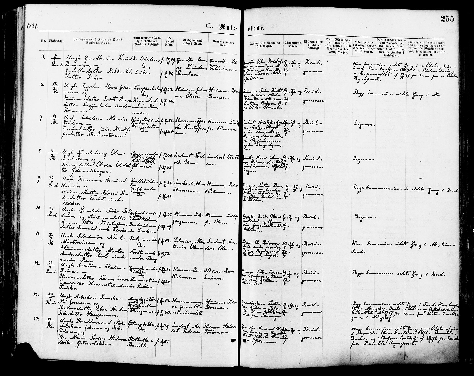 Nord-Odal prestekontor, SAH/PREST-032/H/Ha/Haa/L0005: Parish register (official) no. 5, 1874-1885, p. 255