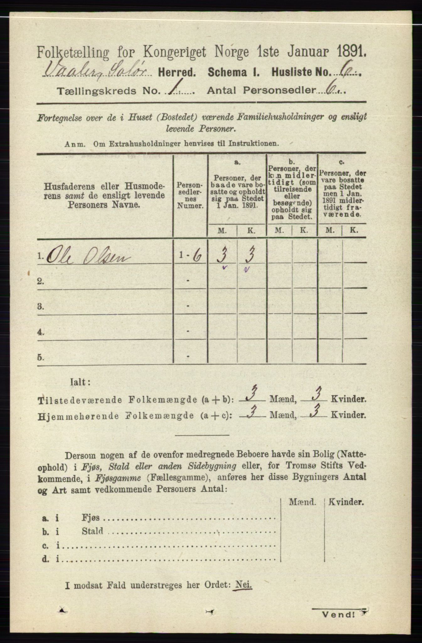 RA, 1891 census for 0426 Våler, 1891, p. 31