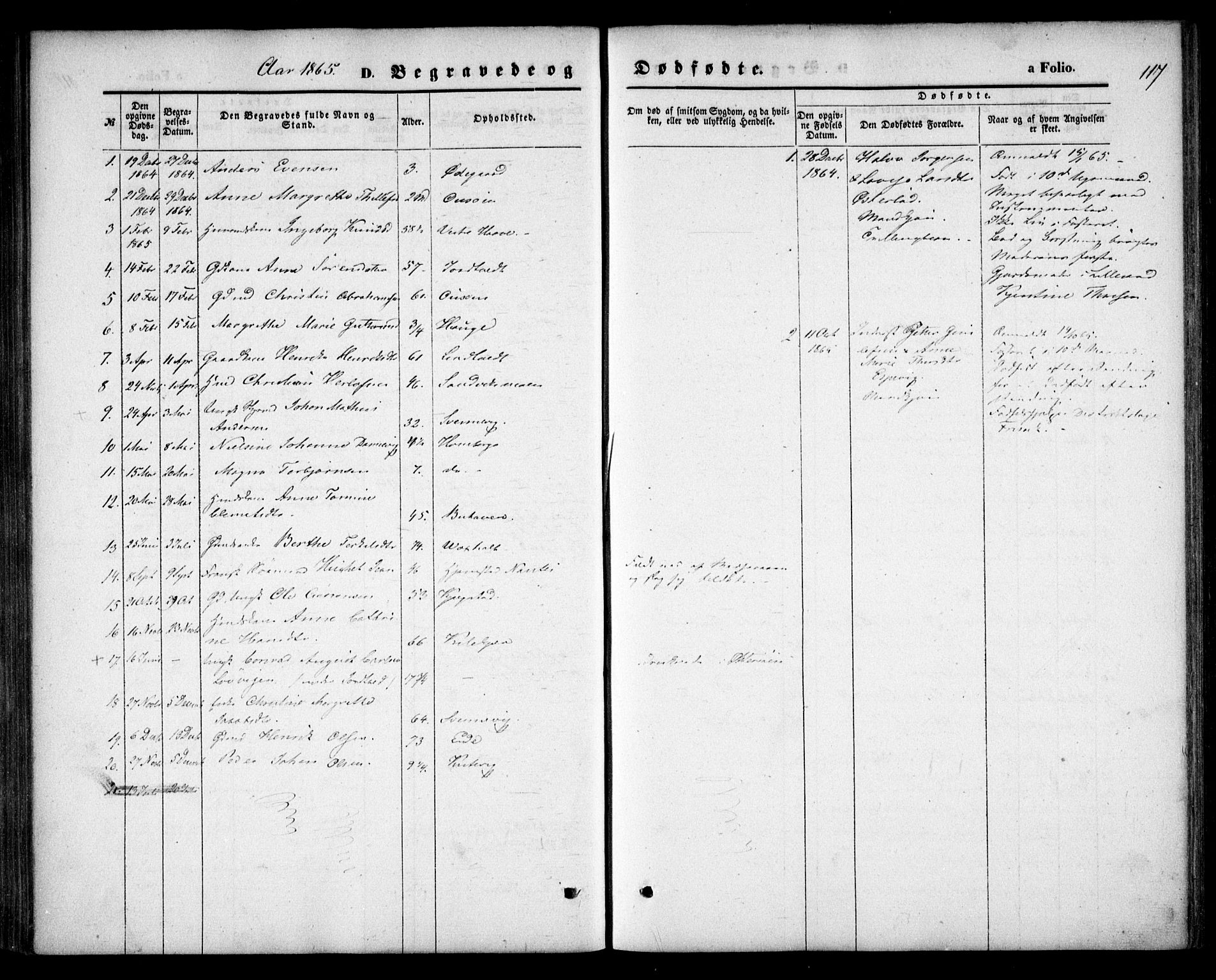 Hommedal sokneprestkontor, SAK/1111-0023/F/Fa/Faa/L0002: Parish register (official) no. A 2, 1861-1884, p. 117