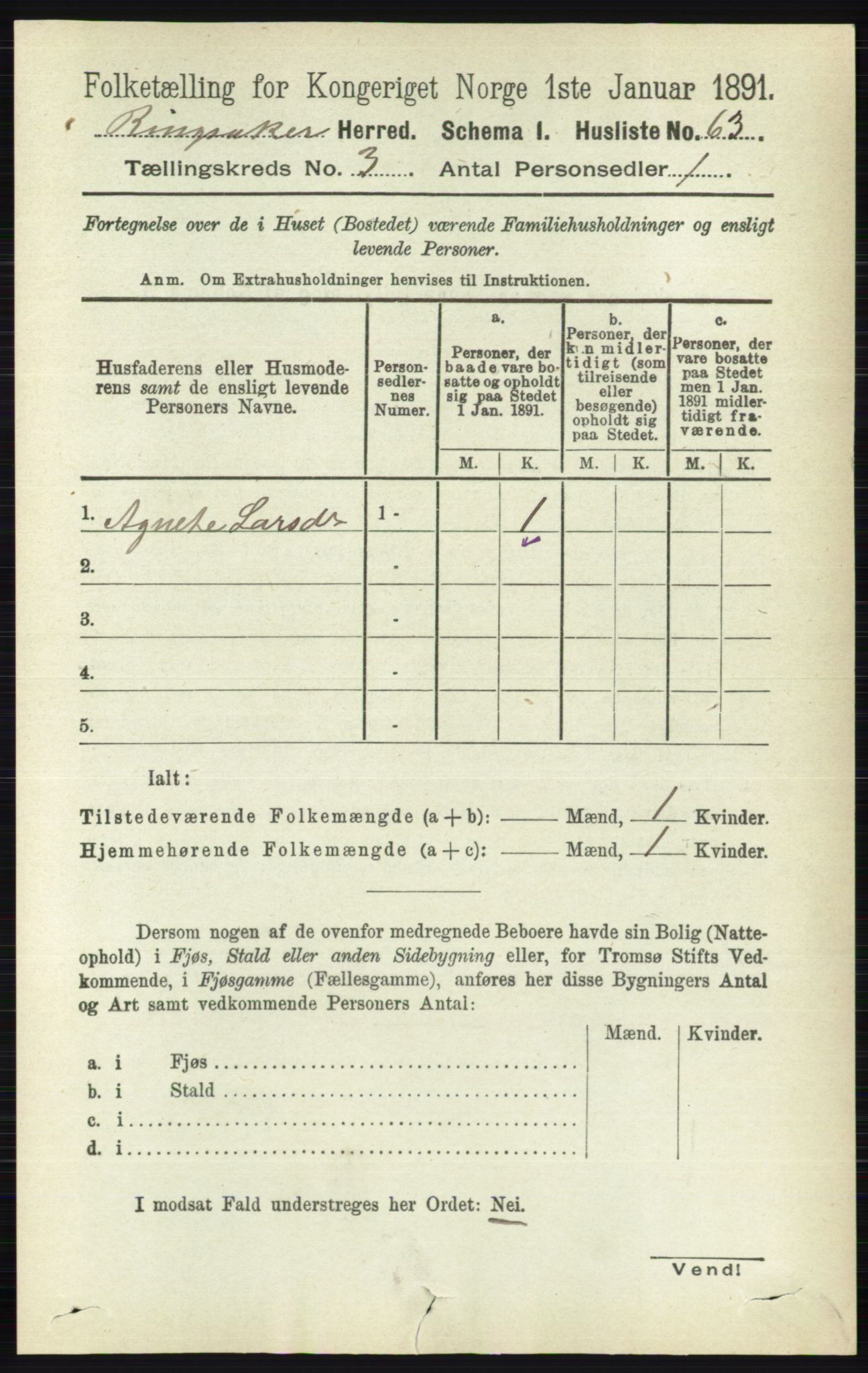 RA, 1891 census for 0412 Ringsaker, 1891, p. 1224
