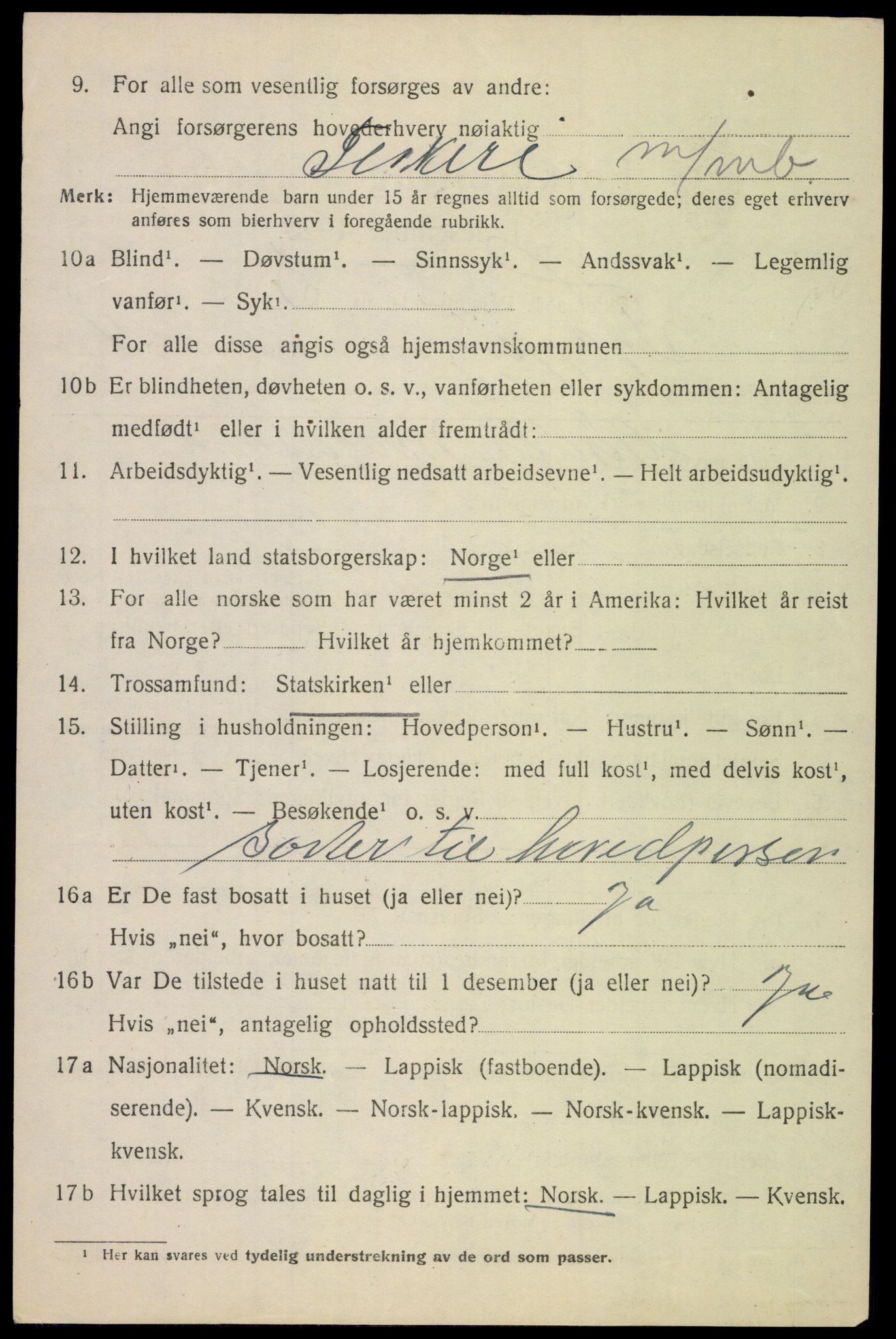 SAT, 1920 census for Tysfjord, 1920, p. 4038