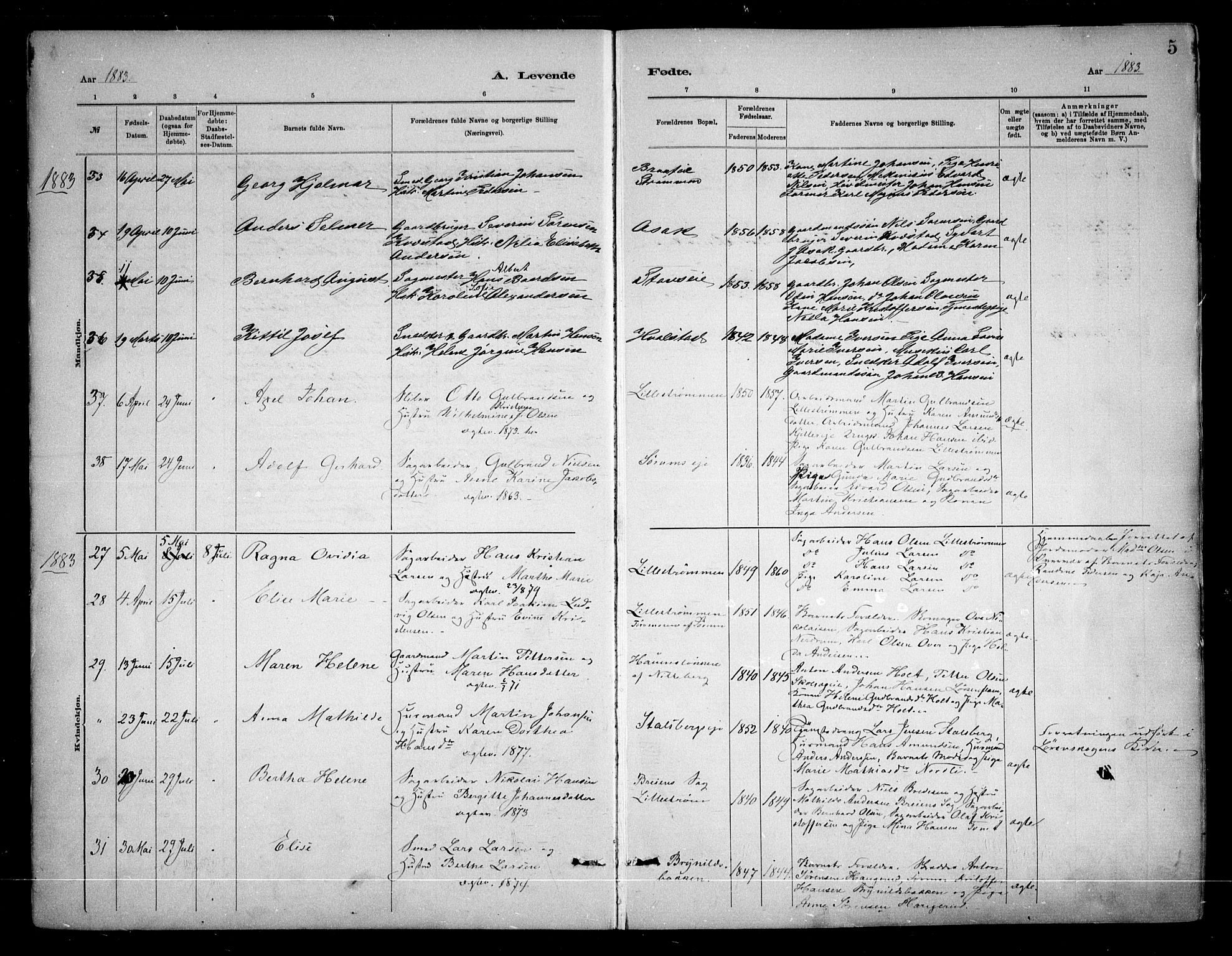 Skedsmo prestekontor Kirkebøker, AV/SAO-A-10033a/F/Fa/L0013: Parish register (official) no. I 13, 1883-1891, p. 5