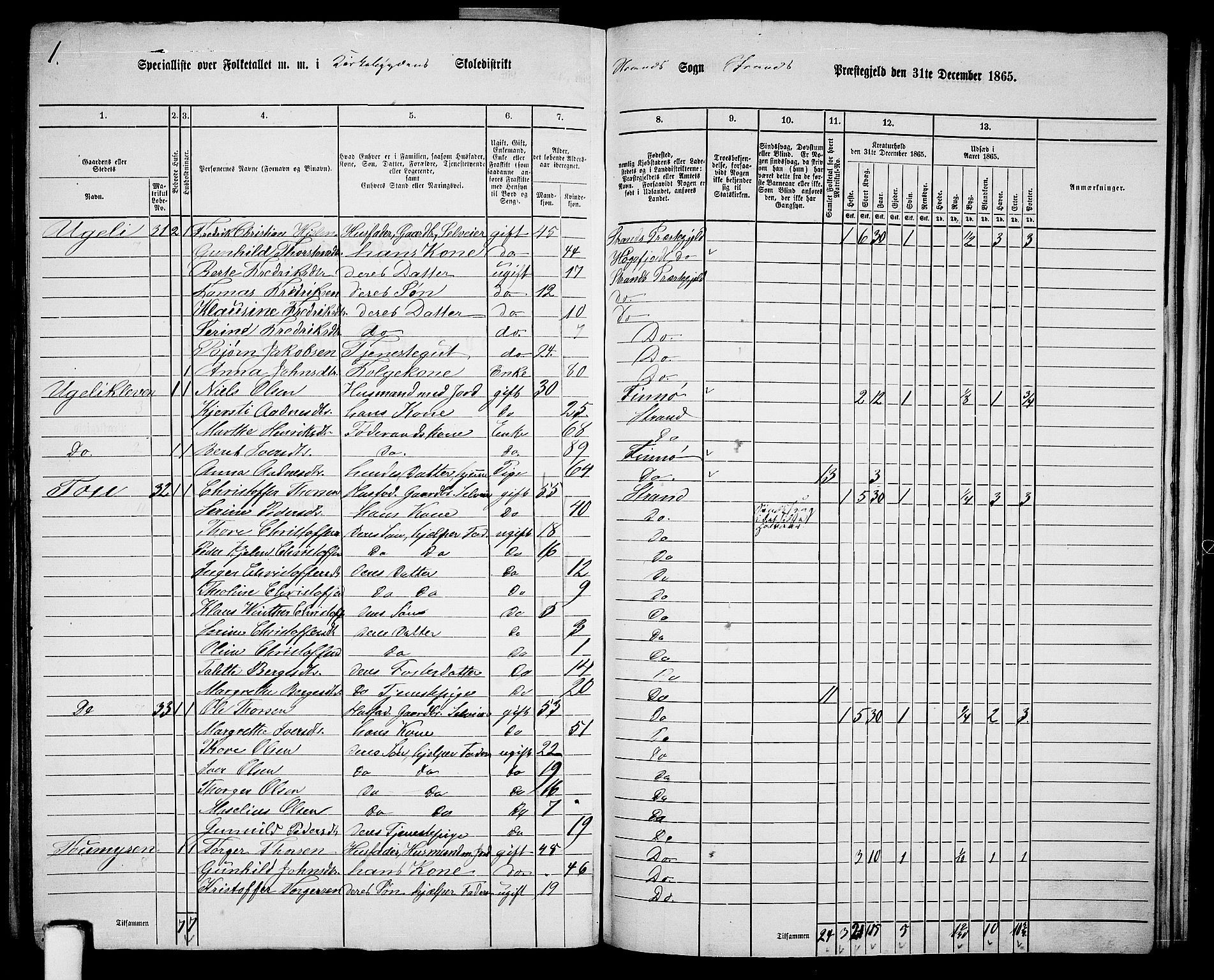 RA, 1865 census for Strand, 1865, p. 40