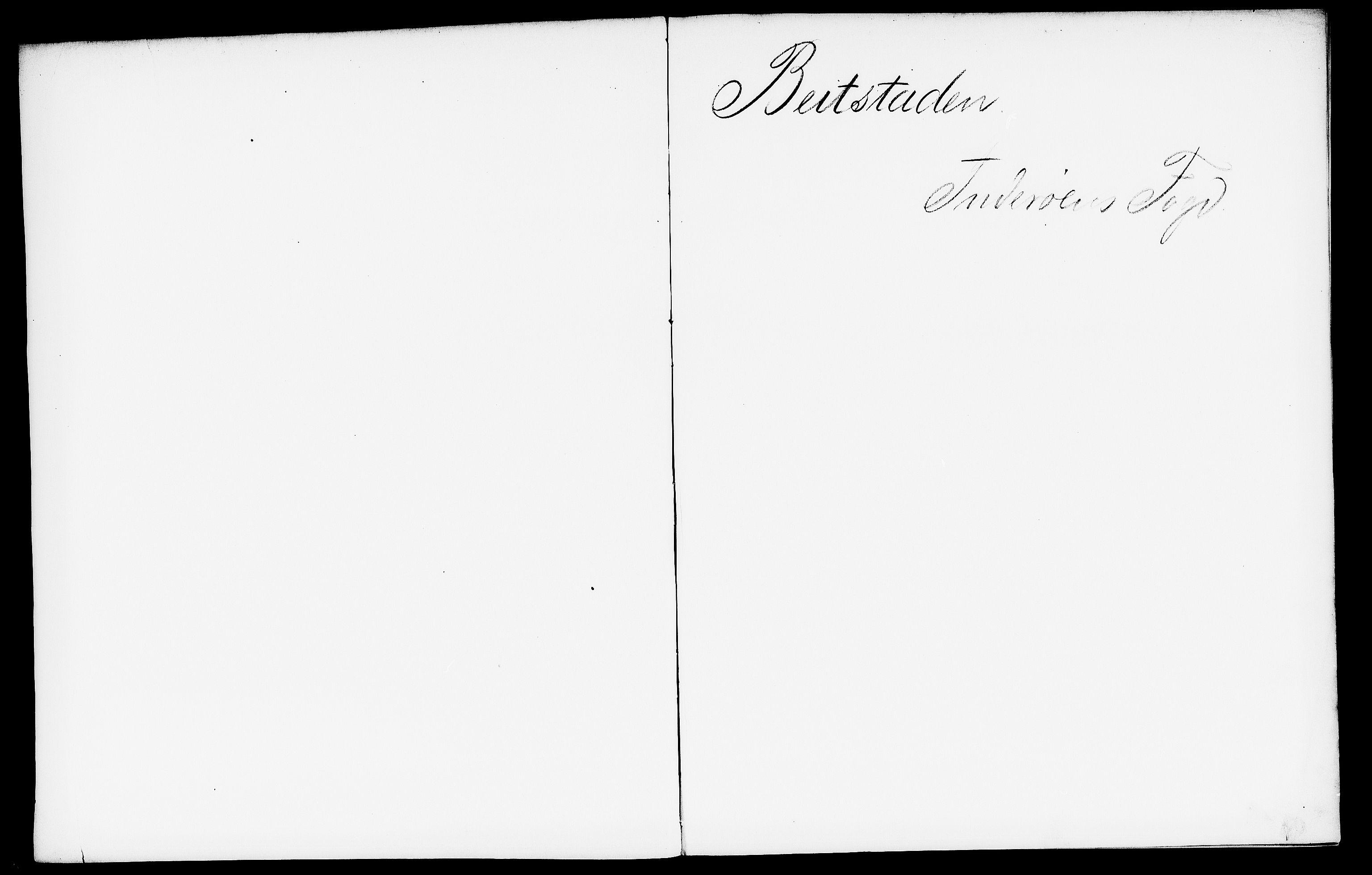 Matrikkelrevisjonen av 1863, AV/RA-S-1530/F/Fe/L0355: Beitstaden (Namdalseid), 1863