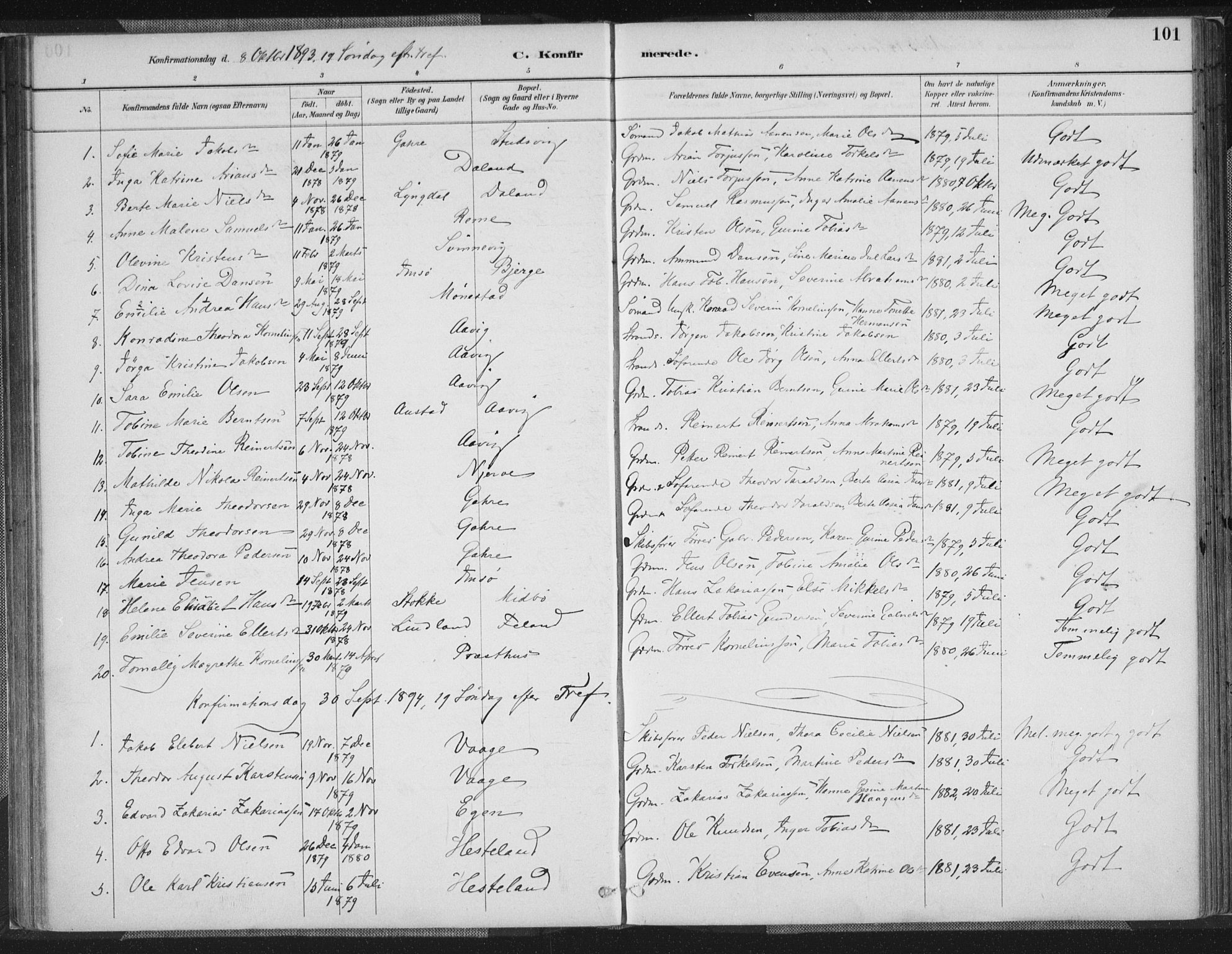 Sør-Audnedal sokneprestkontor, SAK/1111-0039/F/Fa/Faa/L0004: Parish register (official) no. A 4, 1884-1909, p. 101