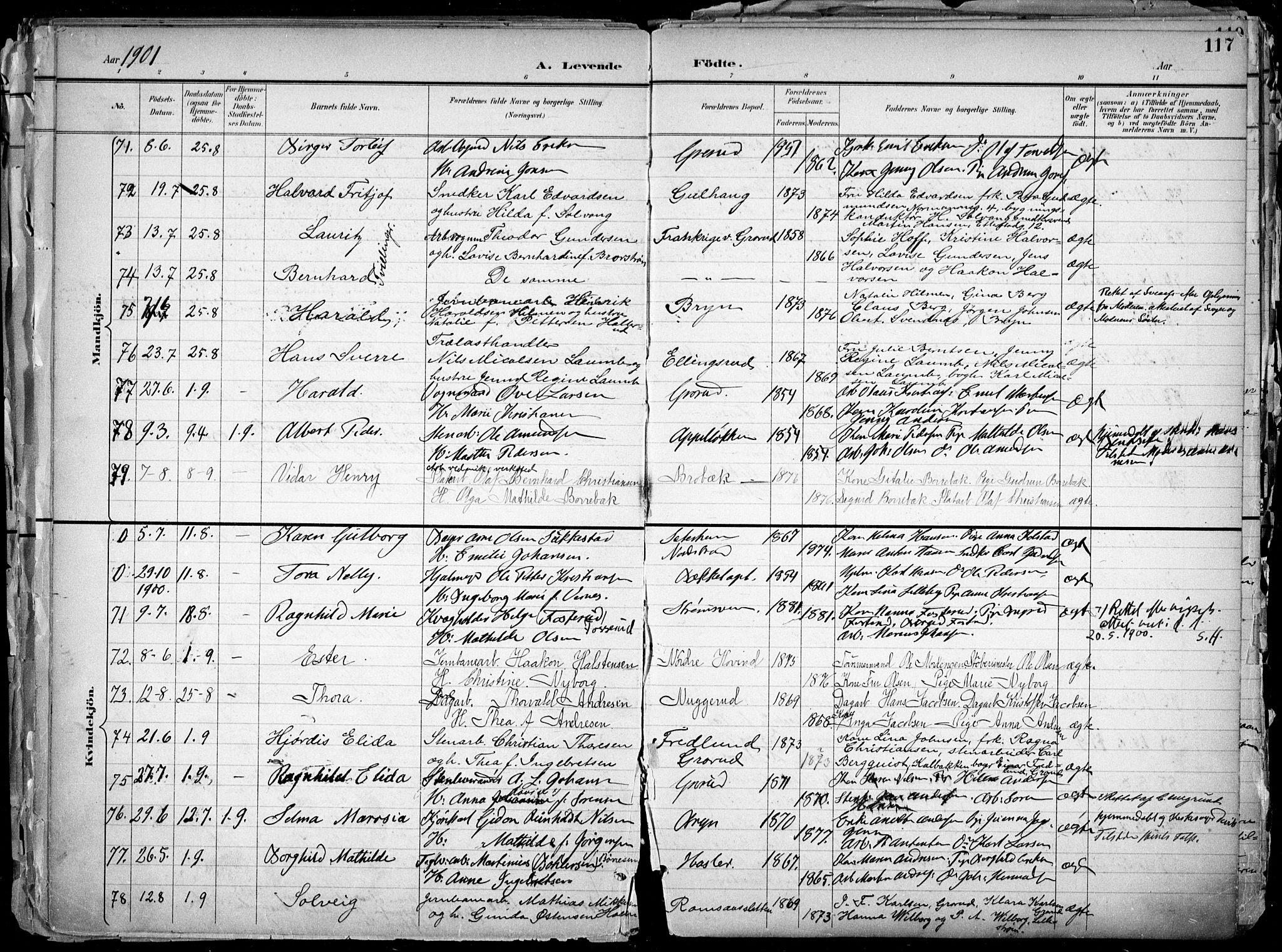 Østre Aker prestekontor Kirkebøker, AV/SAO-A-10840/F/Fa/L0010: Parish register (official) no. I 10, 1895-1912, p. 117