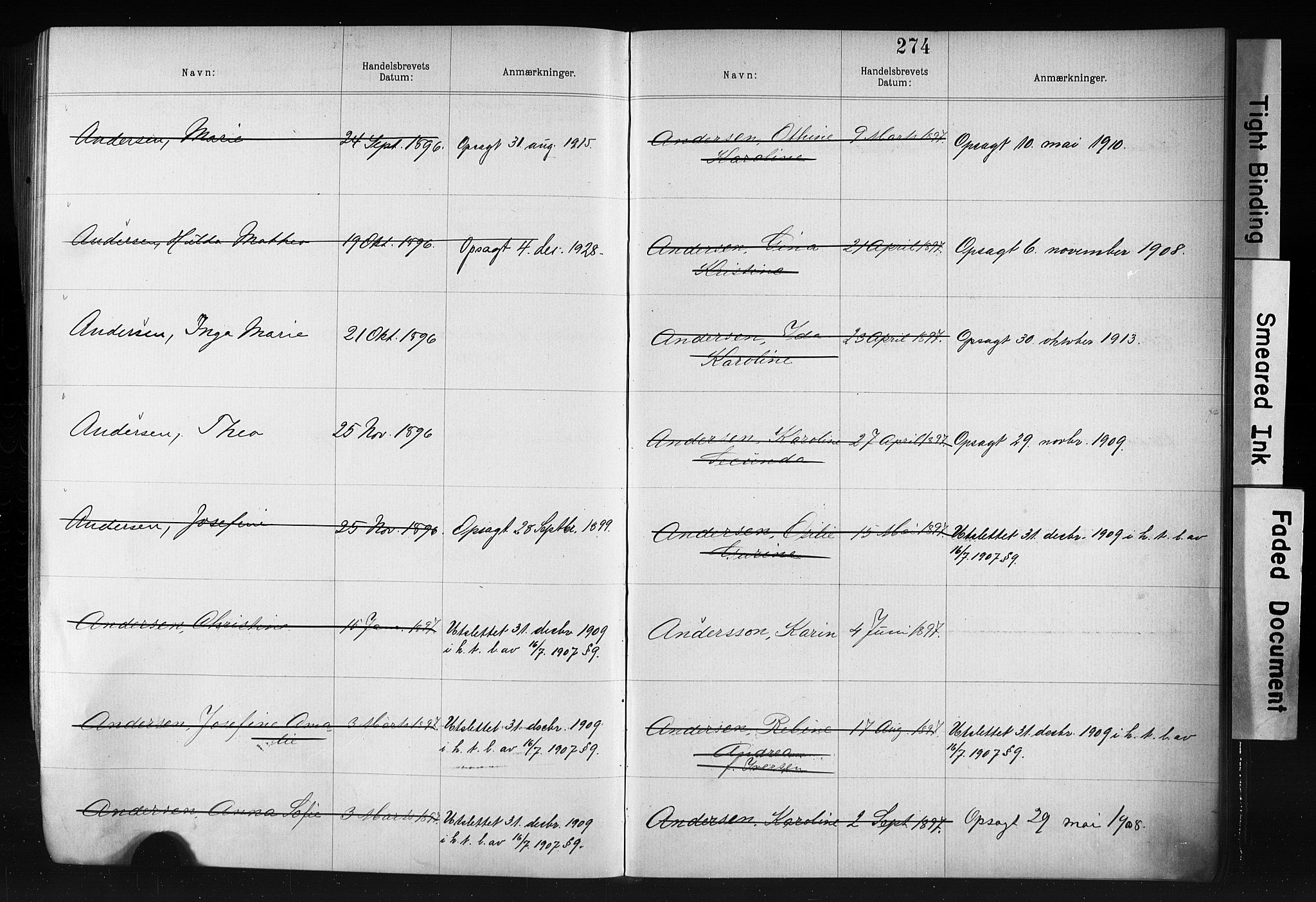 Kristiania magistrat, SAO/A-10711/F/Fb/L0006: Borgerrulle, 1879-1899, p. 232