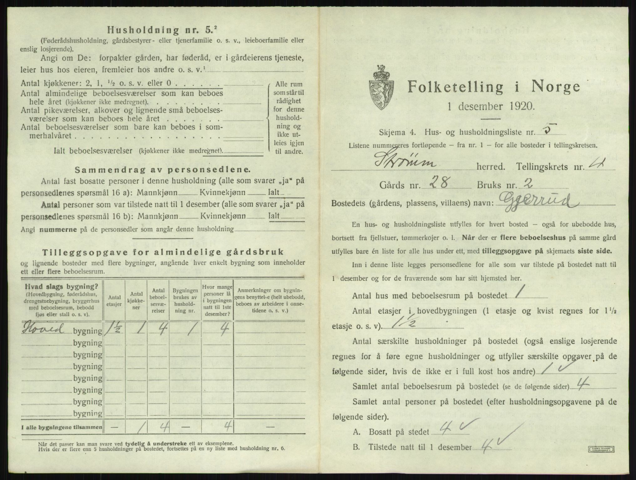 SAKO, 1920 census for Strømm, 1920, p. 439