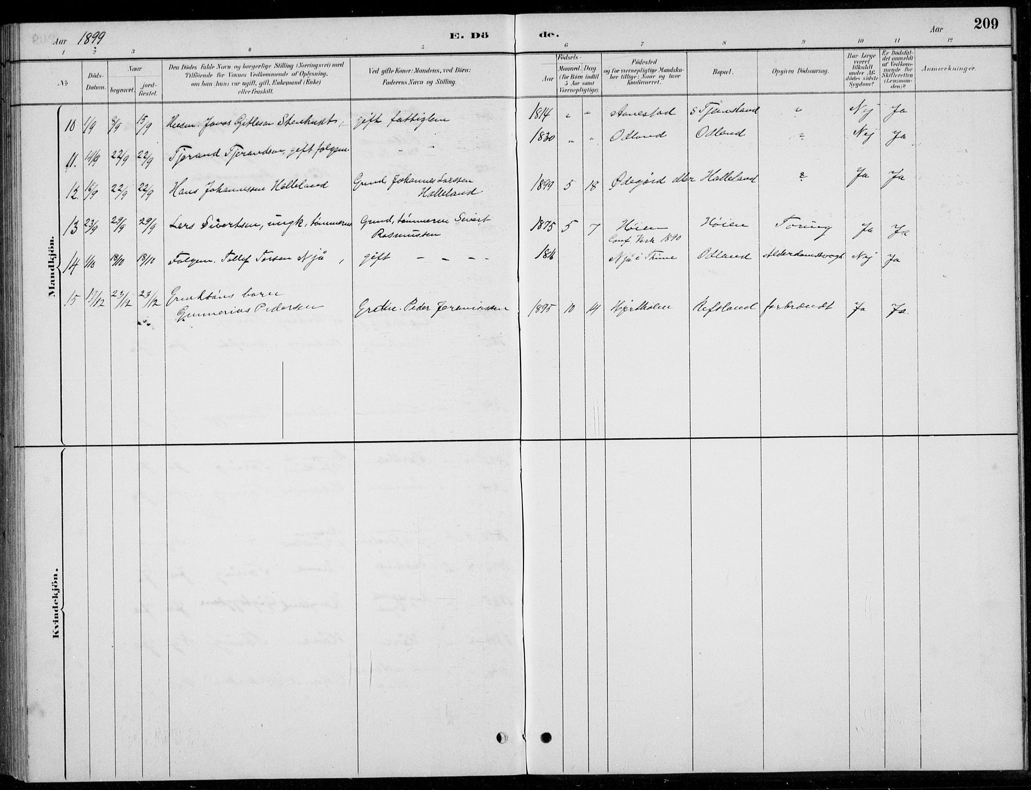 Hå sokneprestkontor, AV/SAST-A-101801/001/30BB/L0004: Parish register (copy) no. B 4, 1883-1899, p. 209